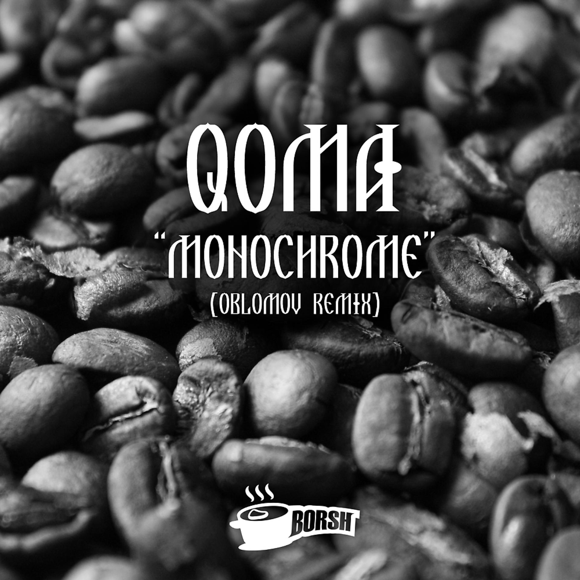 Постер альбома Monochrome (Oblomov Remix)