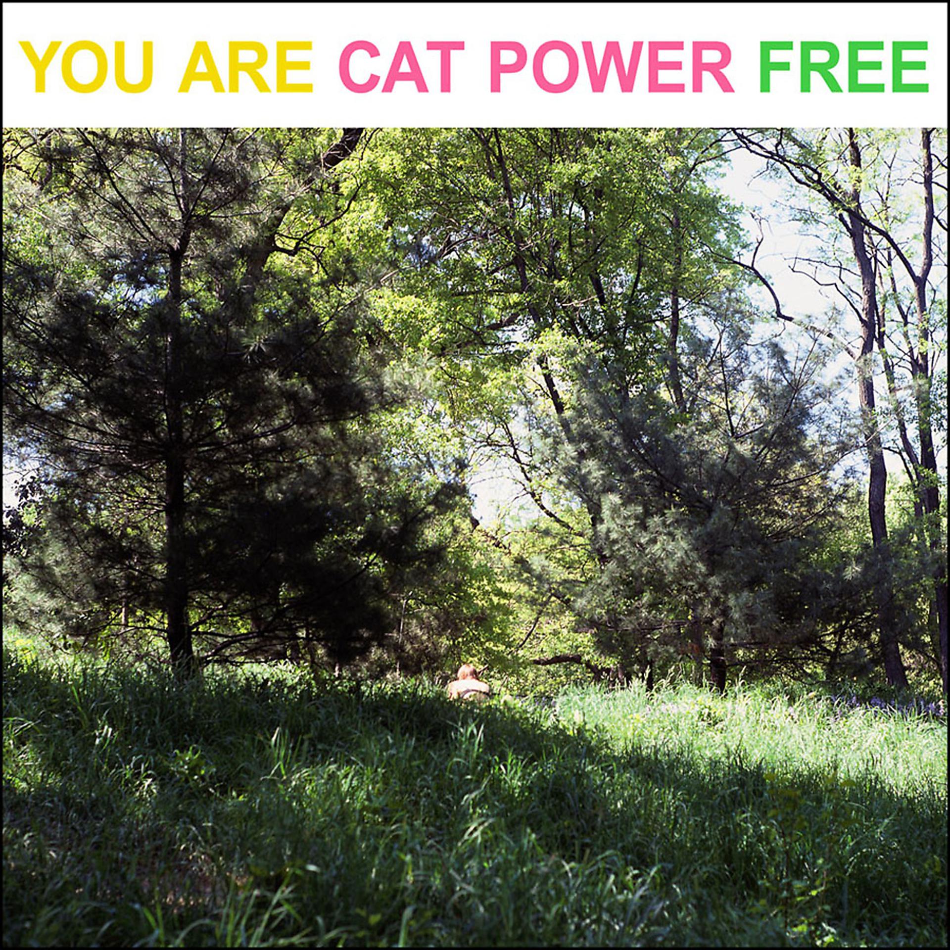 Постер альбома You Are Free