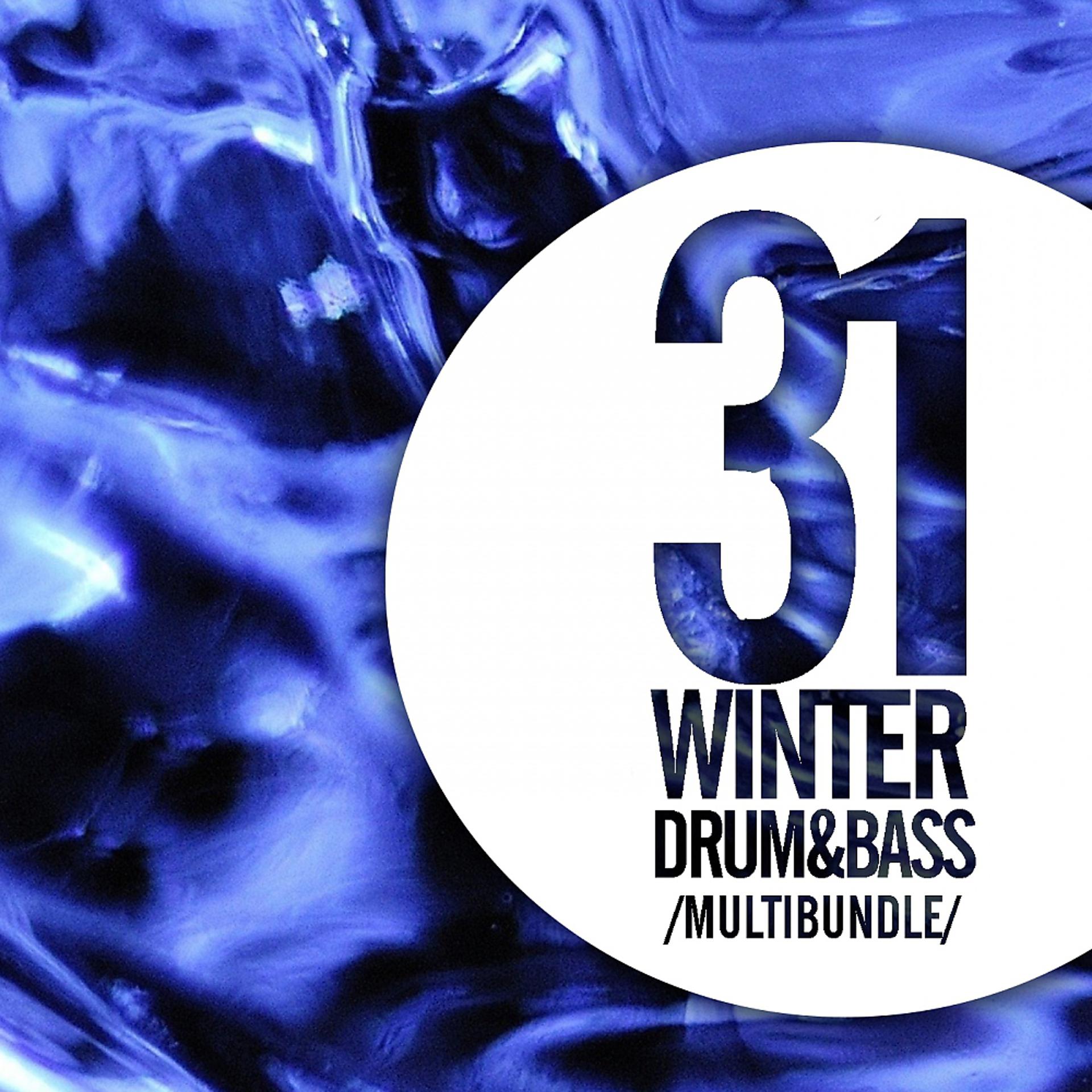 Постер альбома 31 Winter Drum & Bass Multibundle