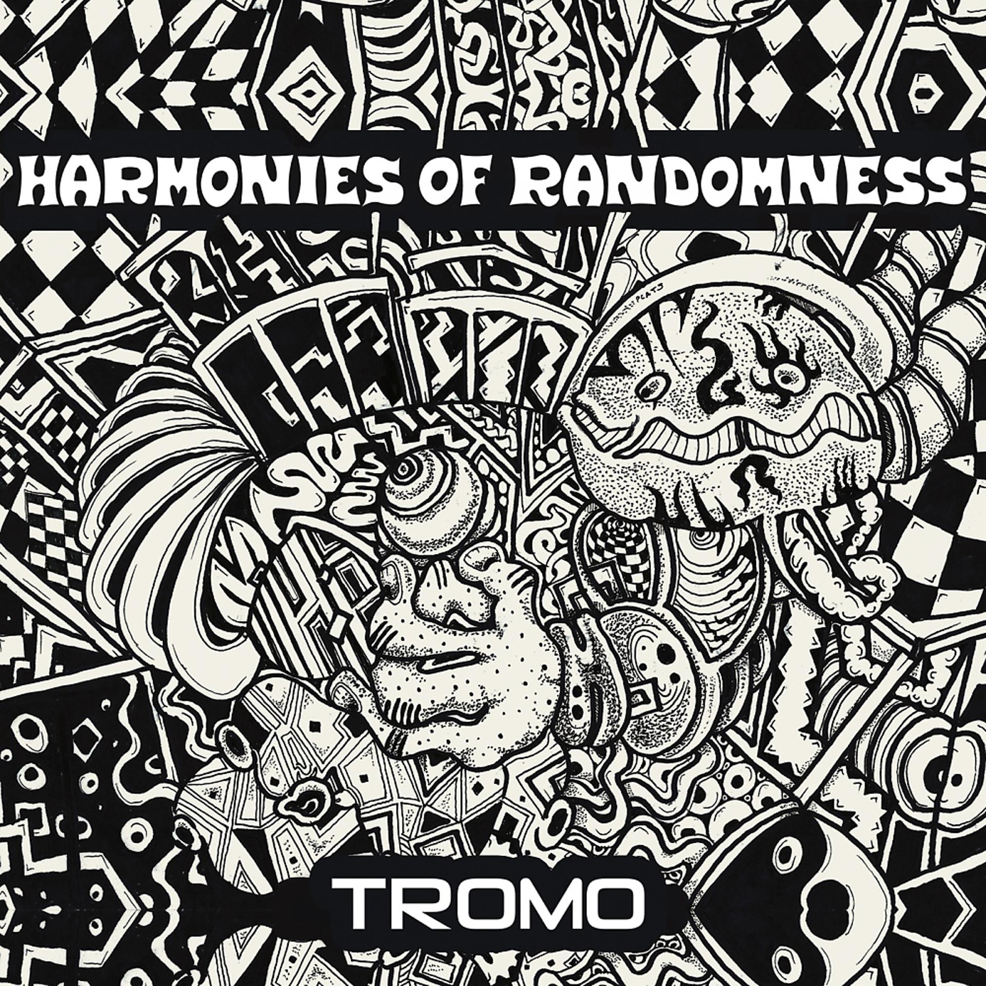Постер альбома Harmonies Of Randomness