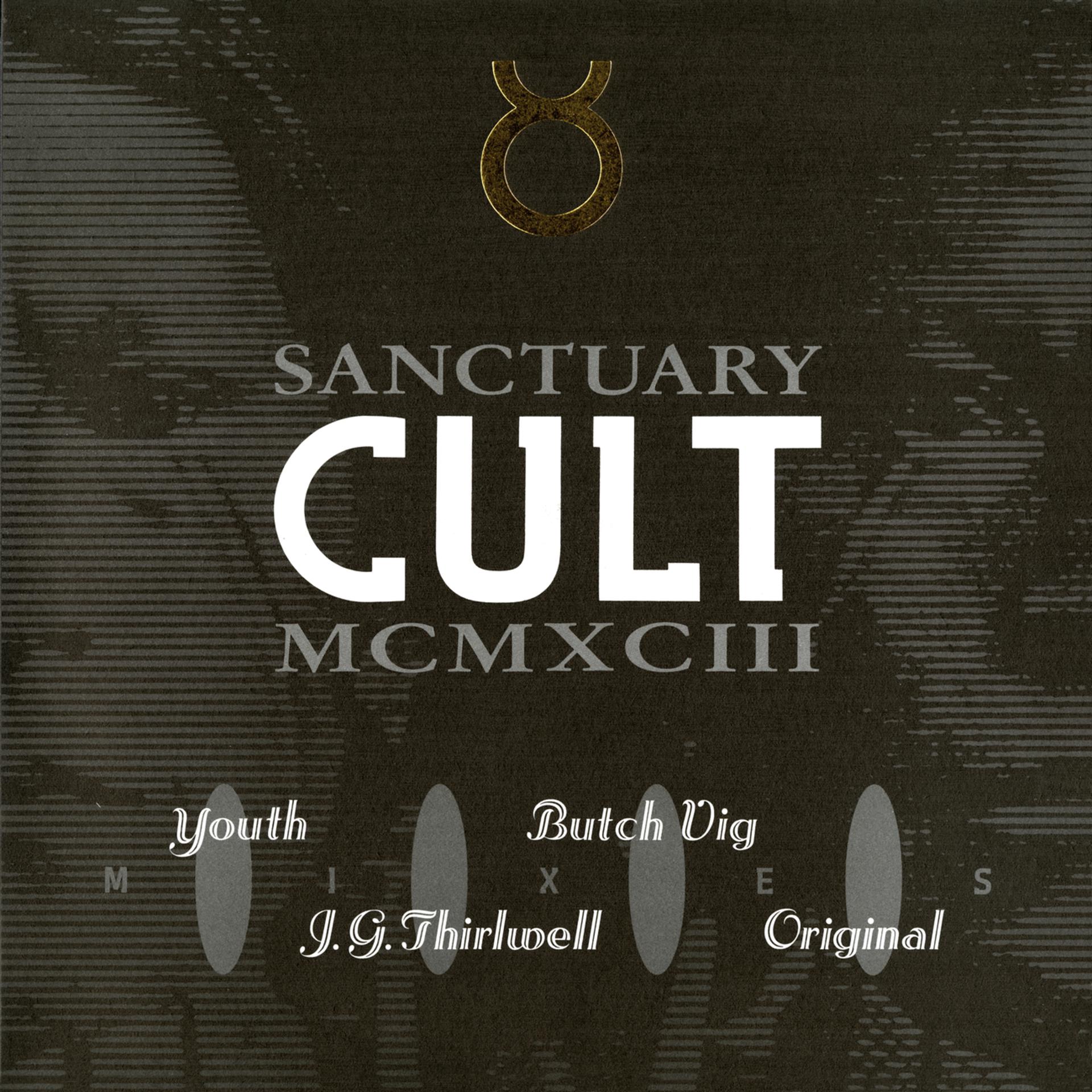 Постер альбома Sanctuary 1993 Mixes