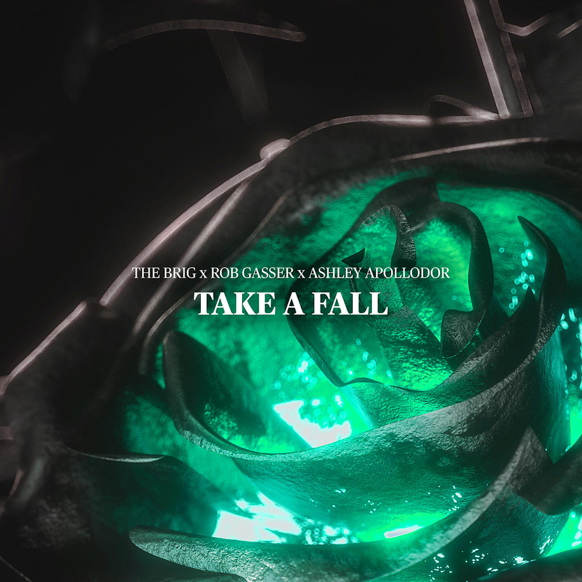 Постер альбома Take A Fall Celebration Mix