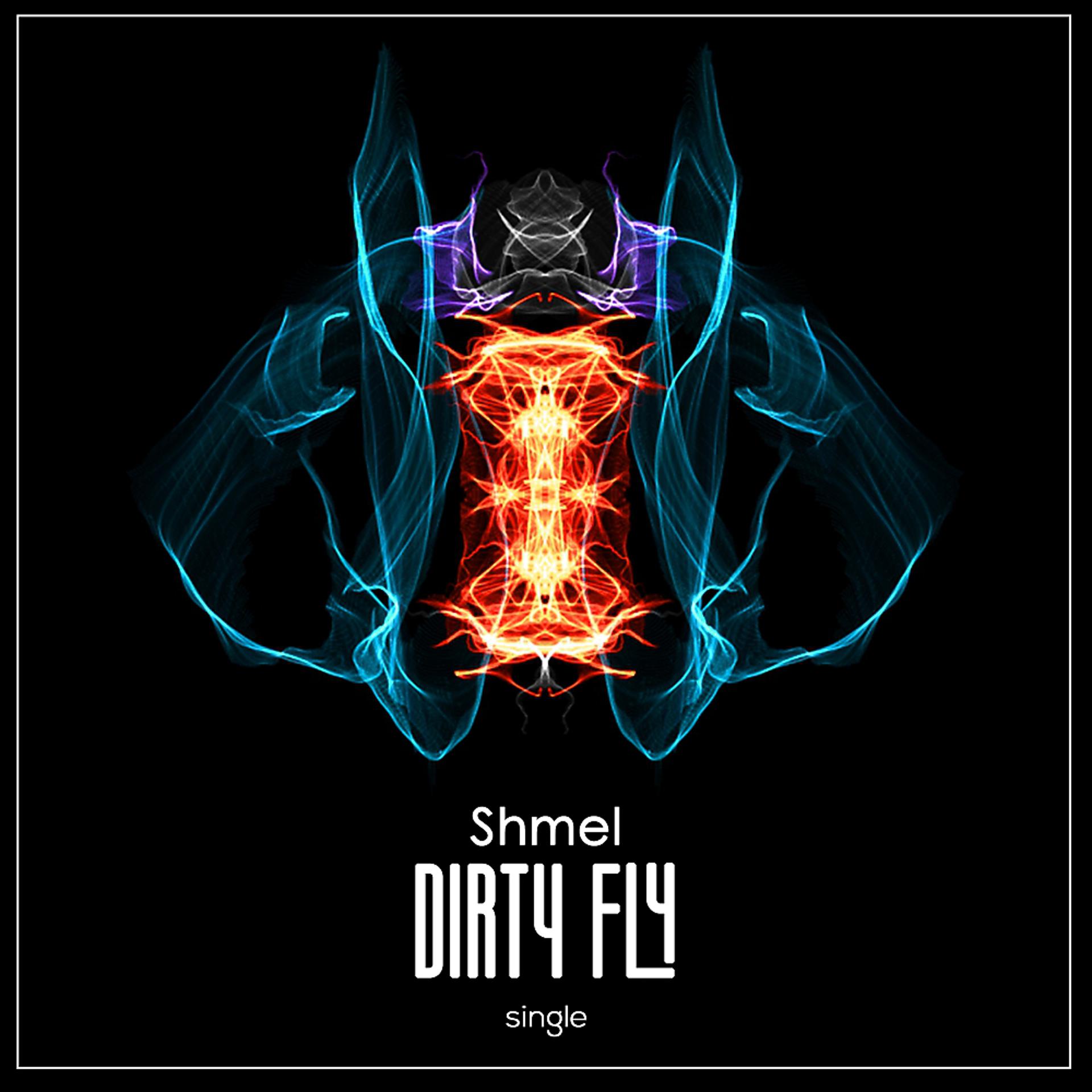 Постер альбома Dirty Fly