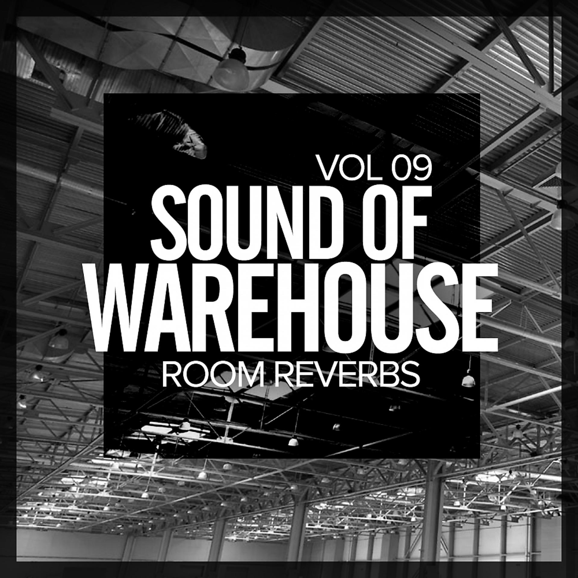 Постер альбома Sound Of Warehouse, Vol.9: Room Reverbs