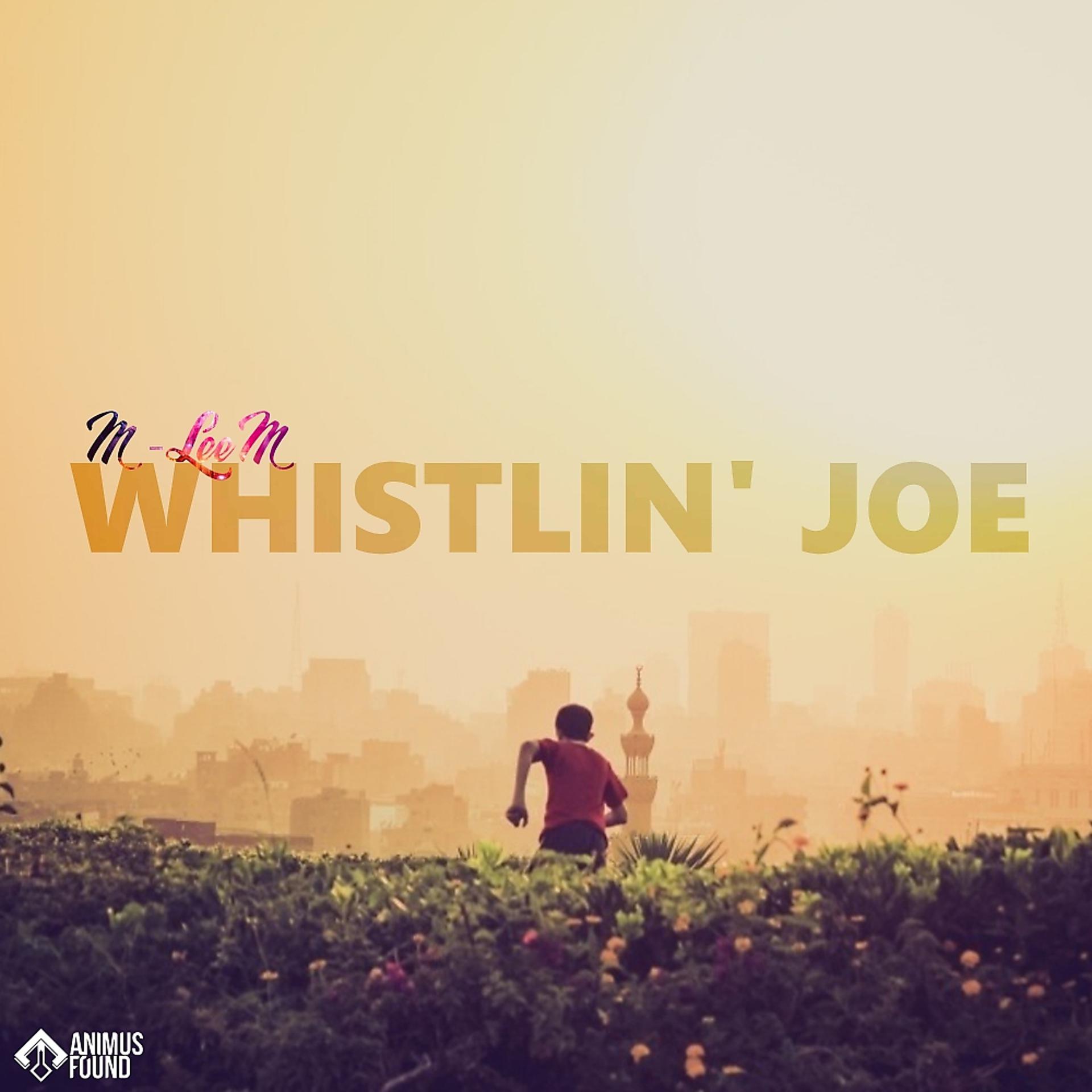 Постер альбома Whistlin Joe