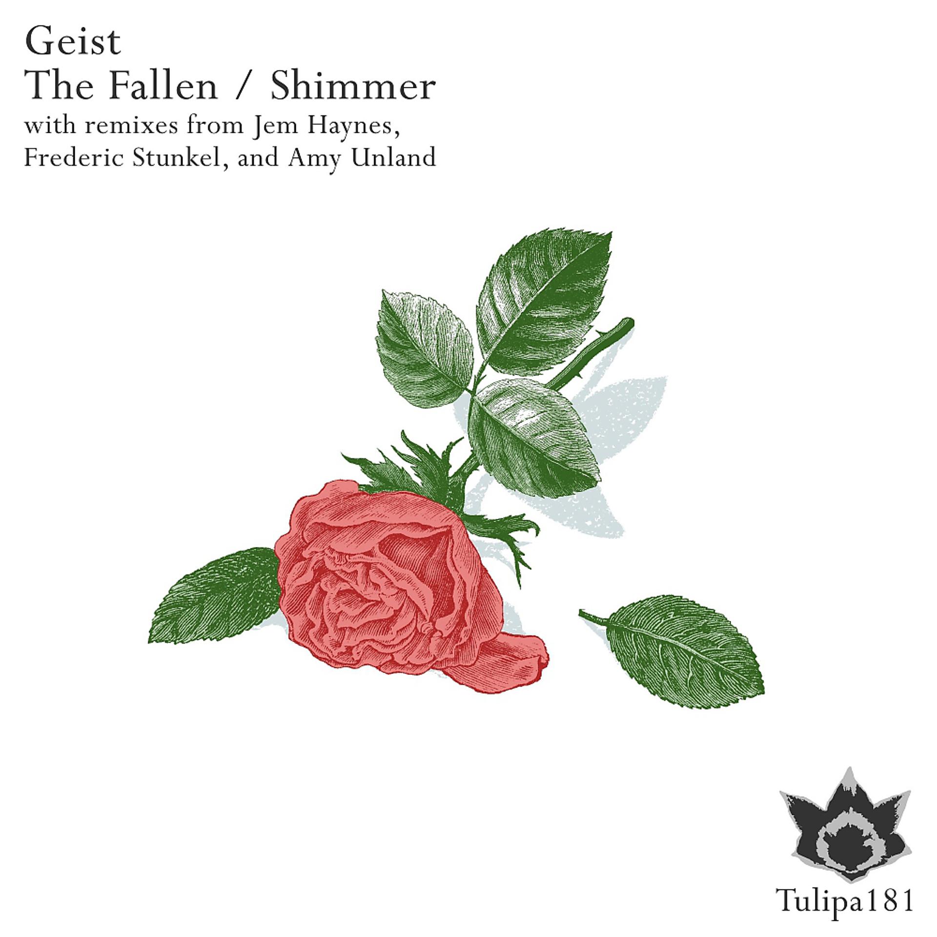 Постер альбома The Fallen / Shimmer