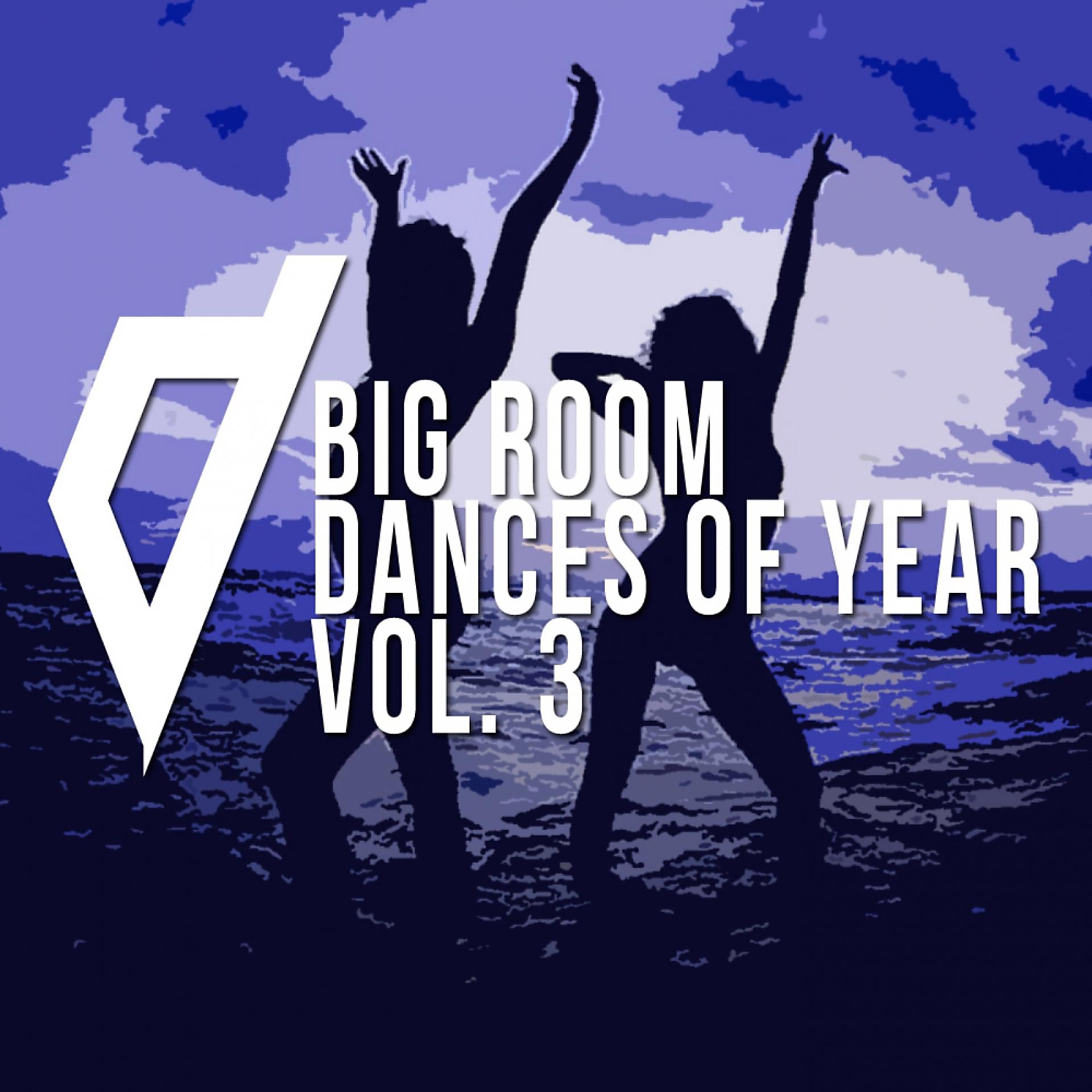 Постер альбома Big Room Dances Of Year, Vol. 3