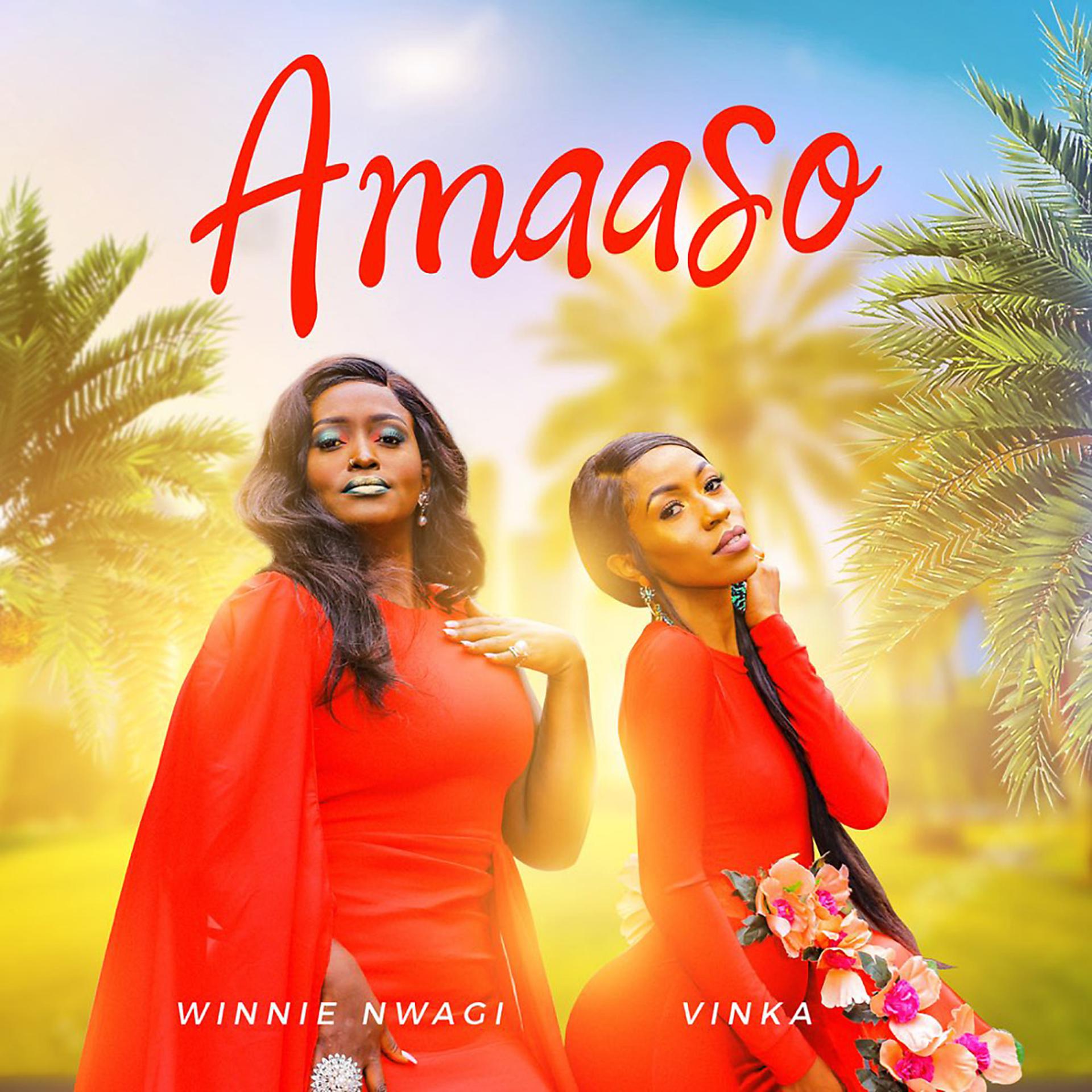 Постер альбома Amaaso