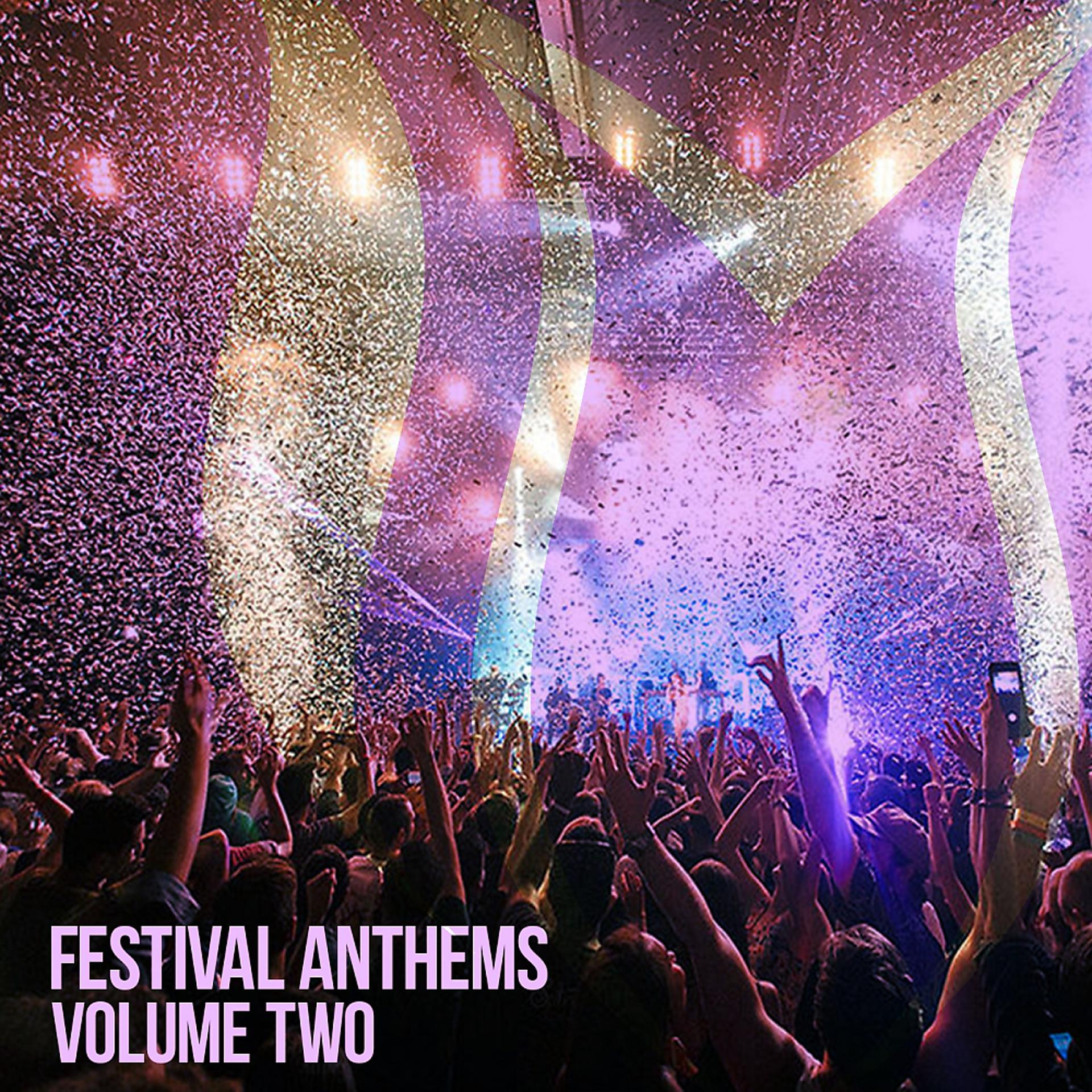 Постер альбома Festival Anthems, Vol. 2