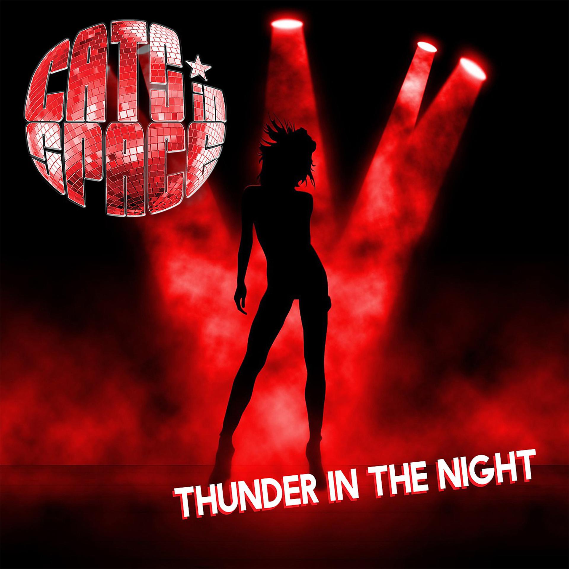 Постер альбома Thunder In The Night