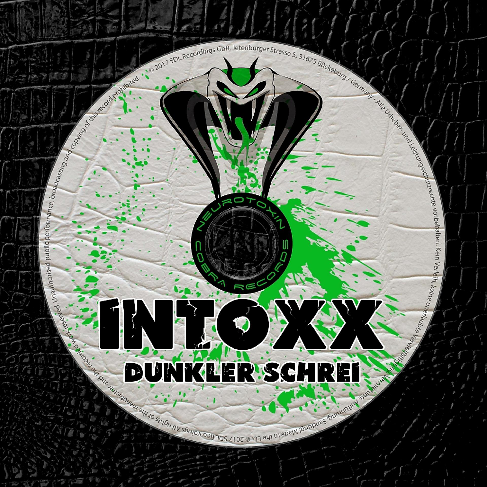Постер альбома Dunkler Schrei