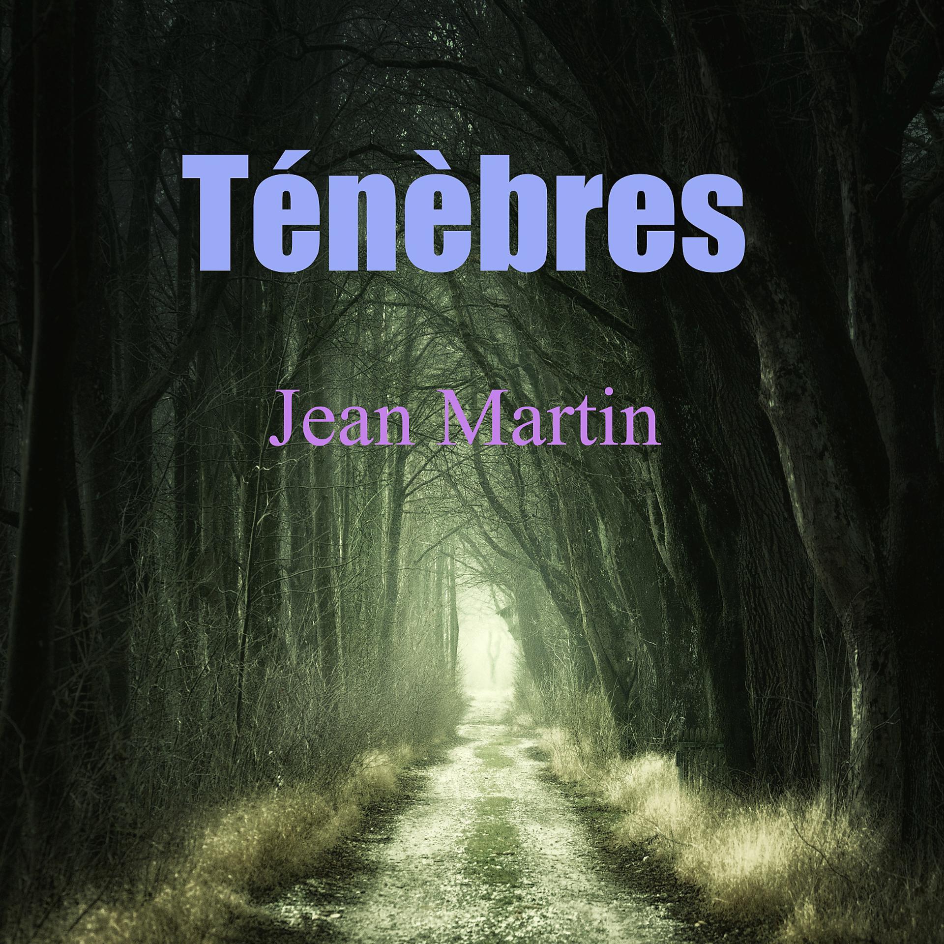 Постер альбома Ténèbres