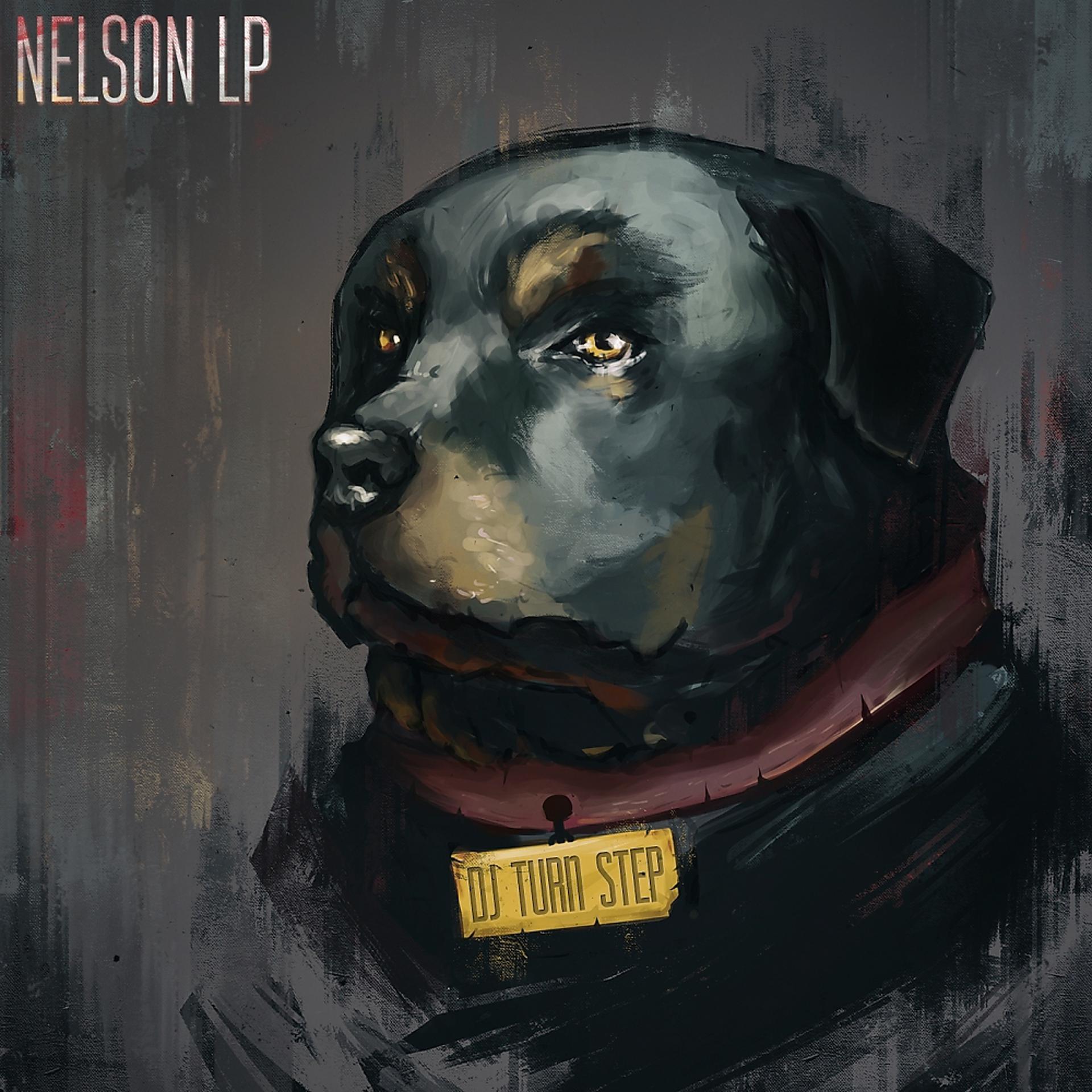 Постер альбома Nelson LP