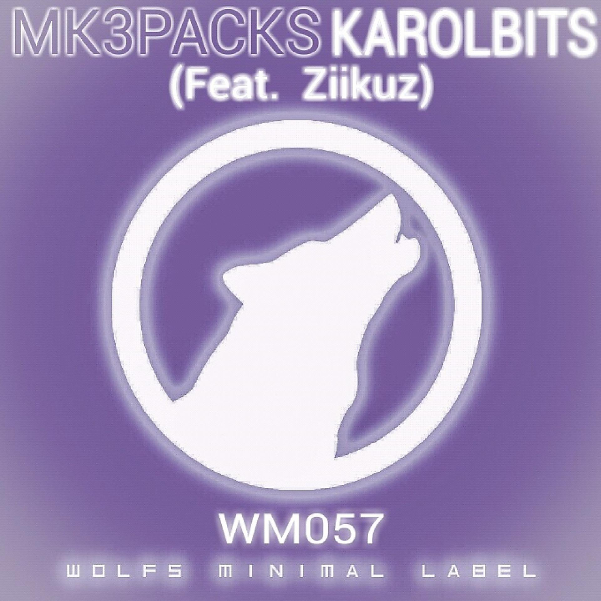 Постер альбома KarolBits (Feat. Ziirkuz)