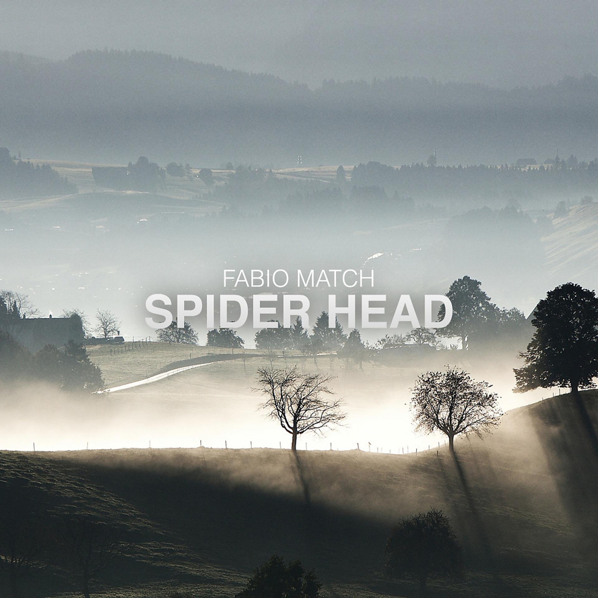 Постер альбома Spider Head