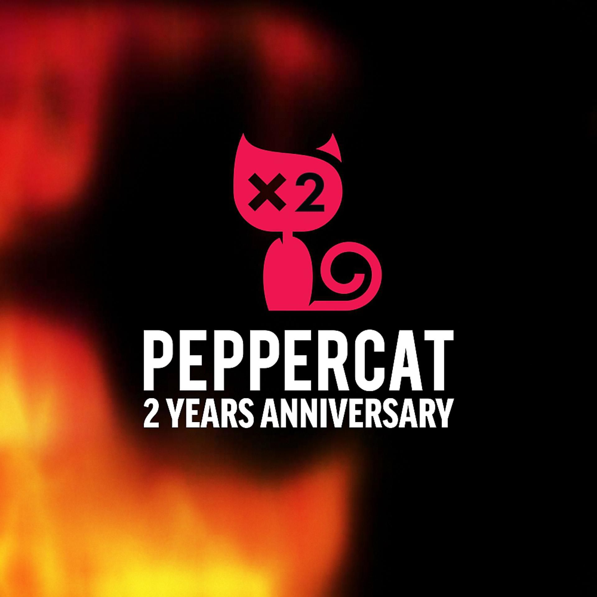 Постер альбома Pepper Cat 2 Years Anniversary