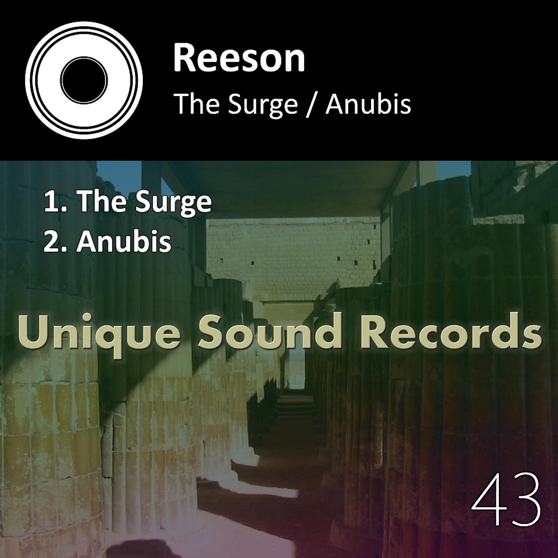 Постер альбома The Surge / Anubis