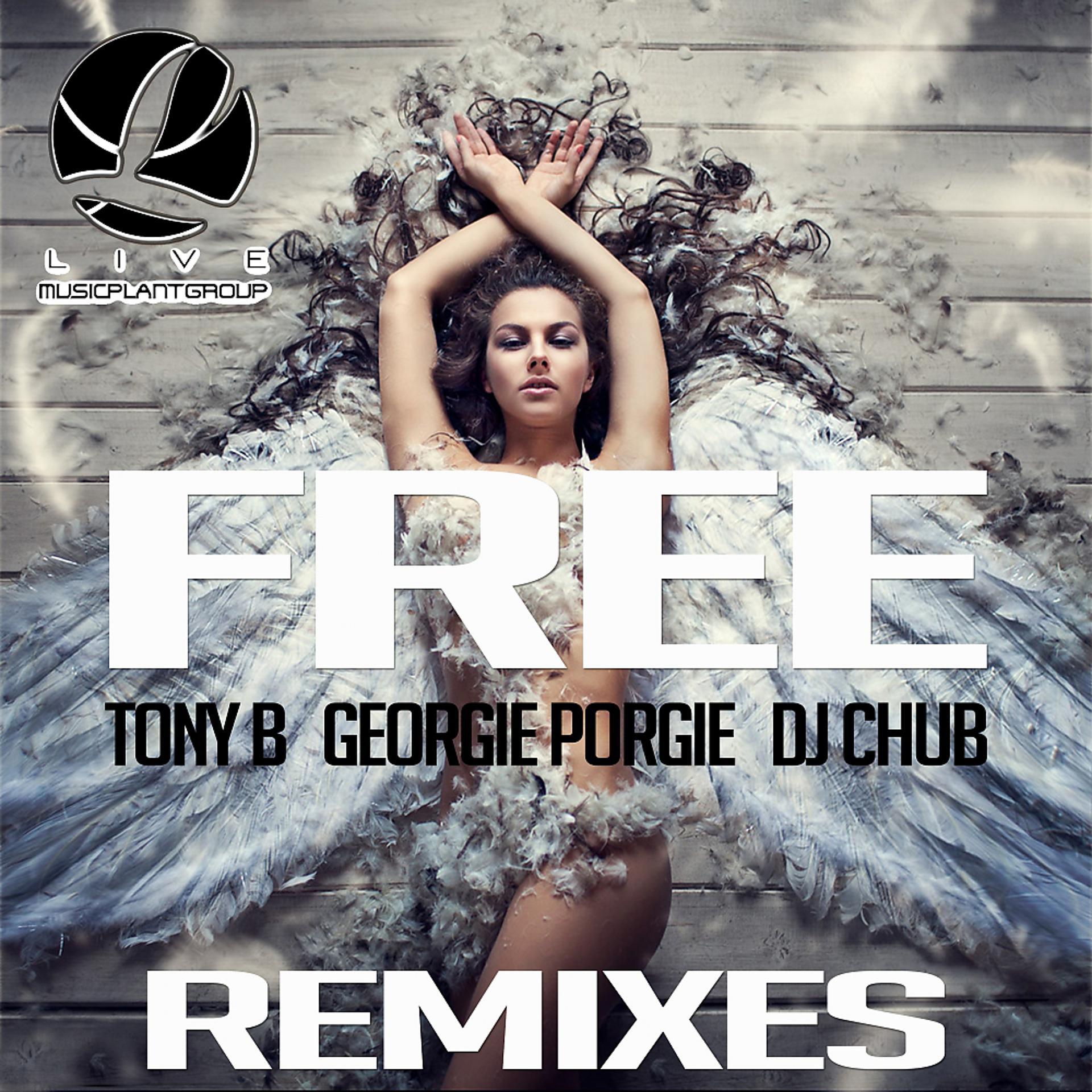 Постер альбома Free Remixes