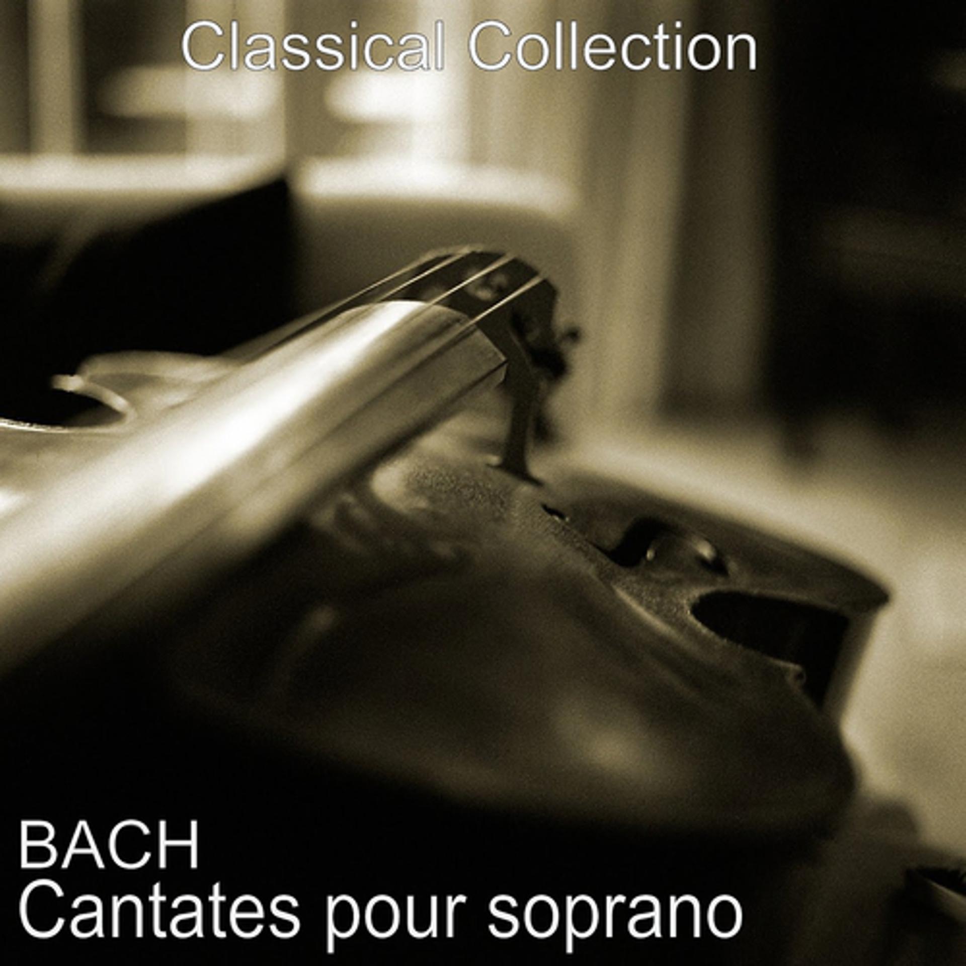 Постер альбома Bach : Cantates pour soprano