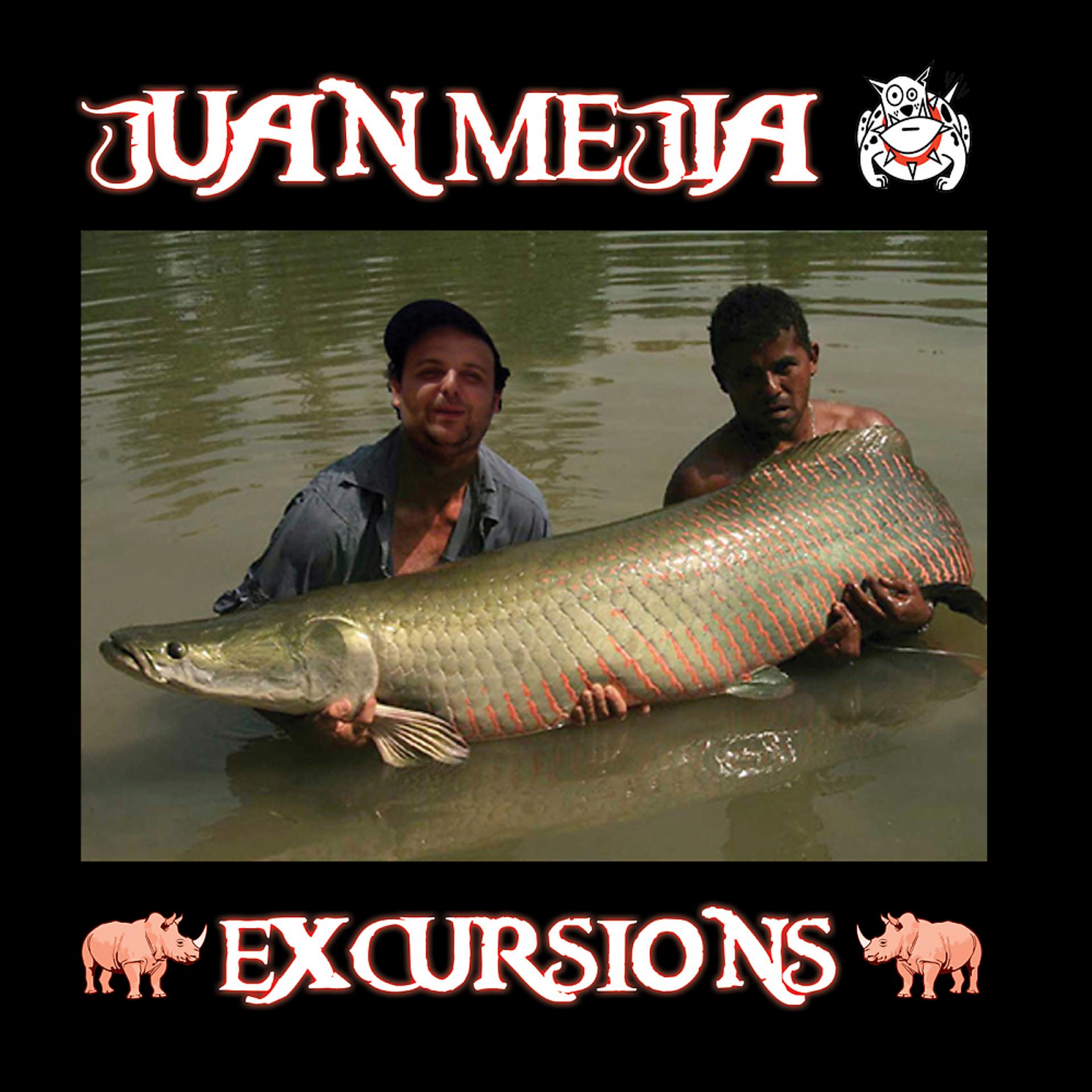 Постер альбома Excursions