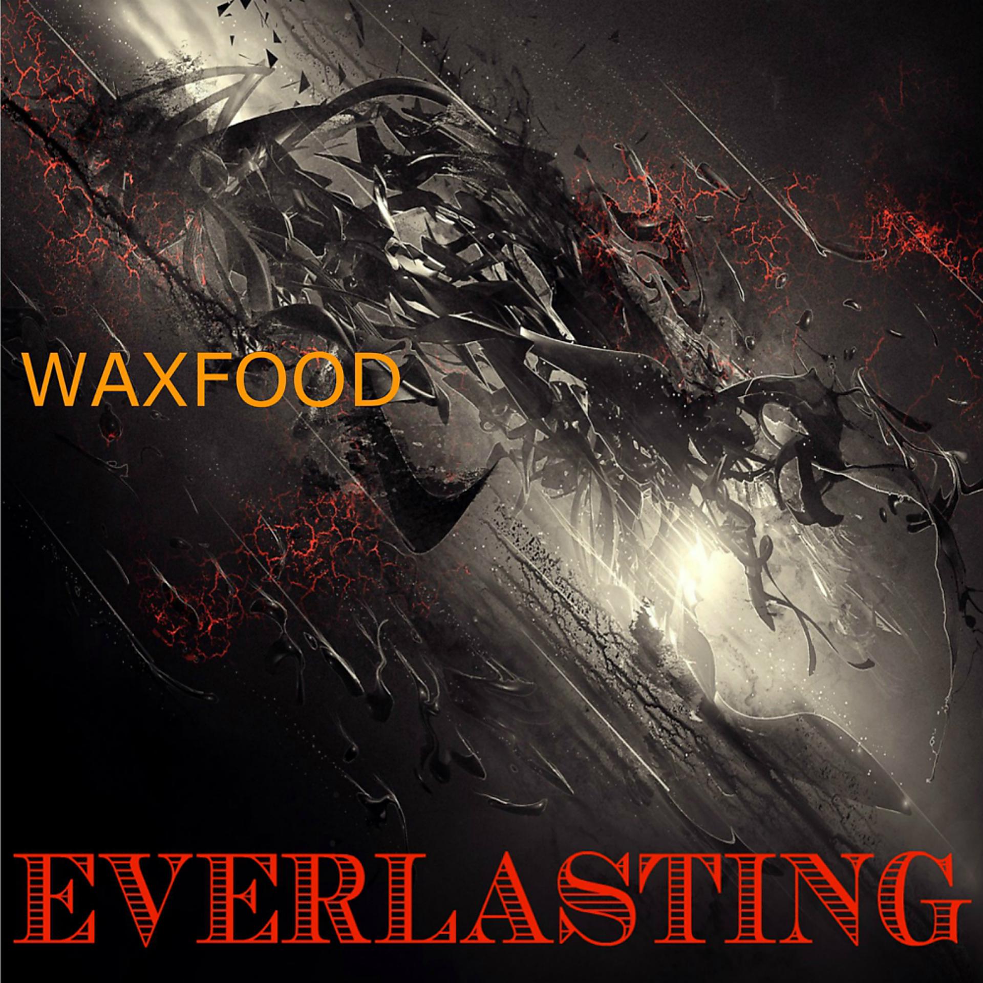 Постер альбома Everlasting