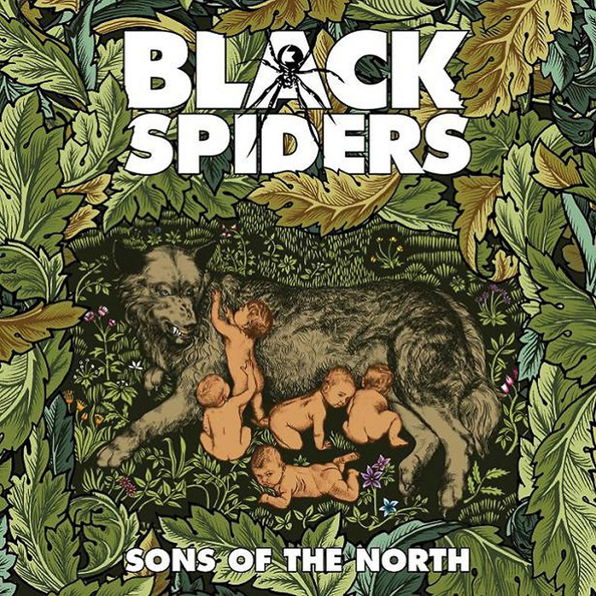 Постер альбома Sons Of The North
