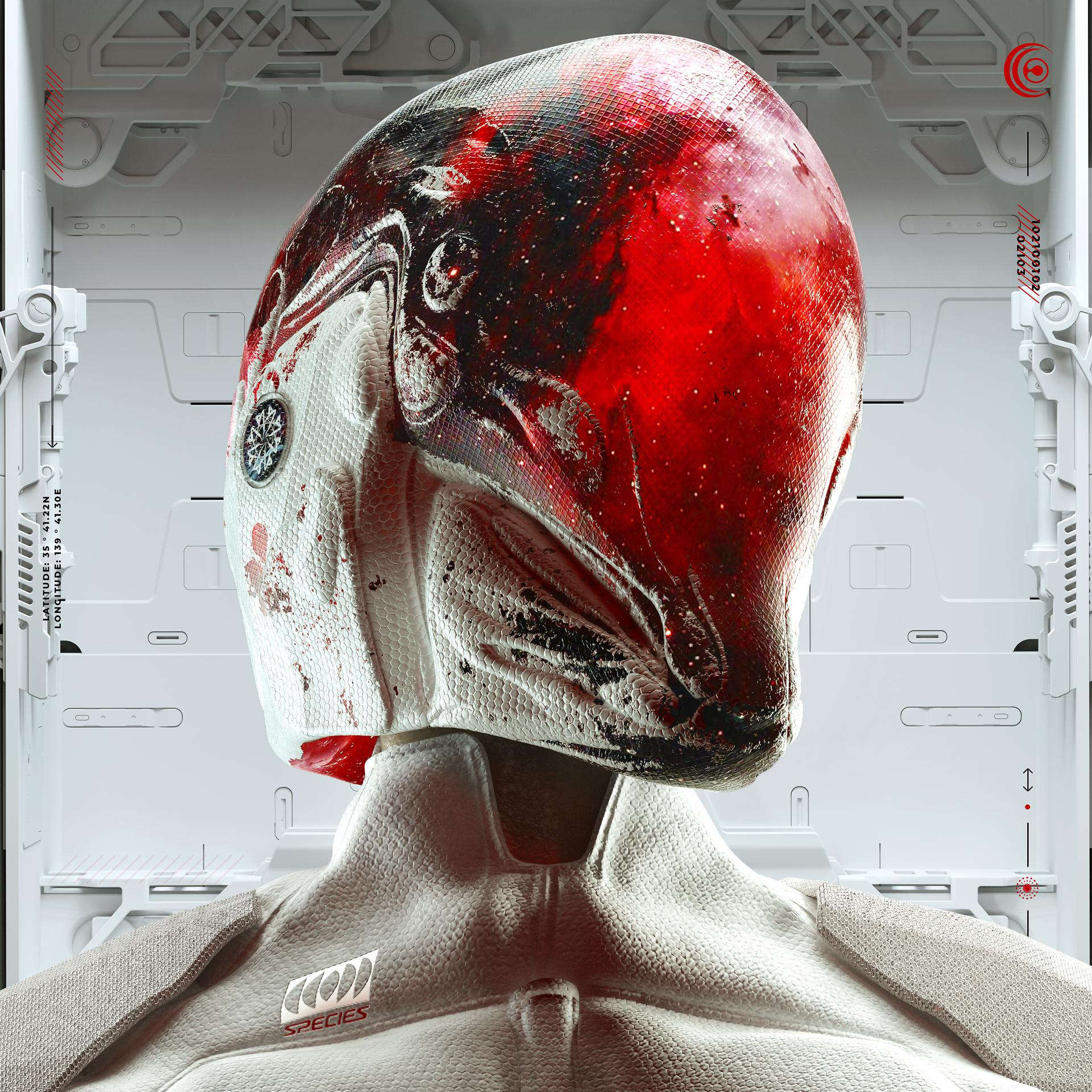 Постер альбома RedZone / Dead or Alive