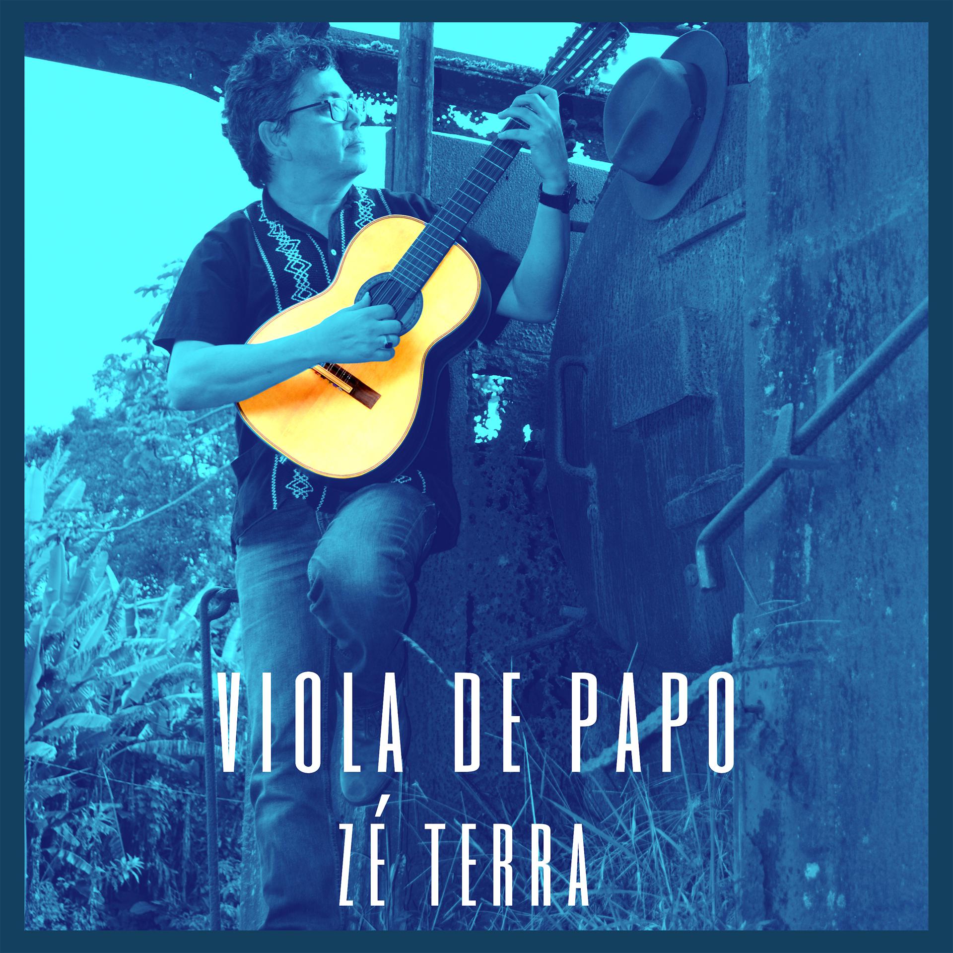 Постер альбома Viola de Papo