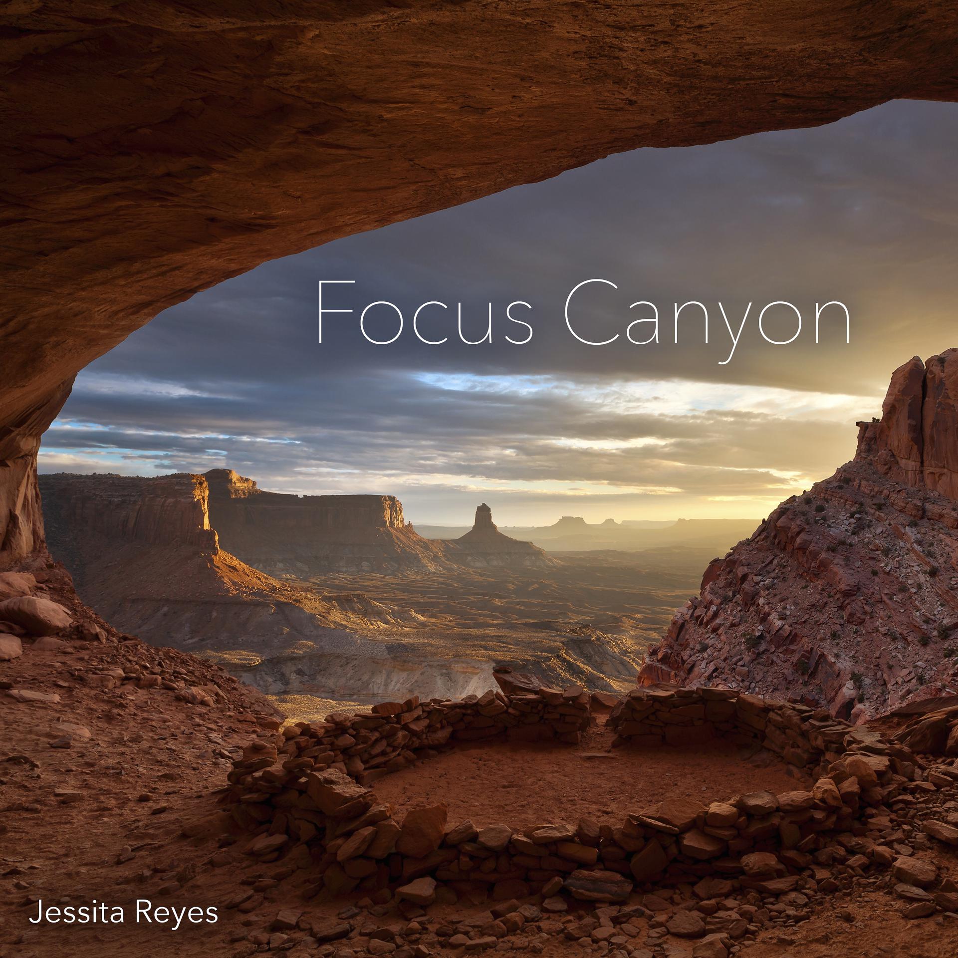 Постер альбома Focus Canyon (Ambient)