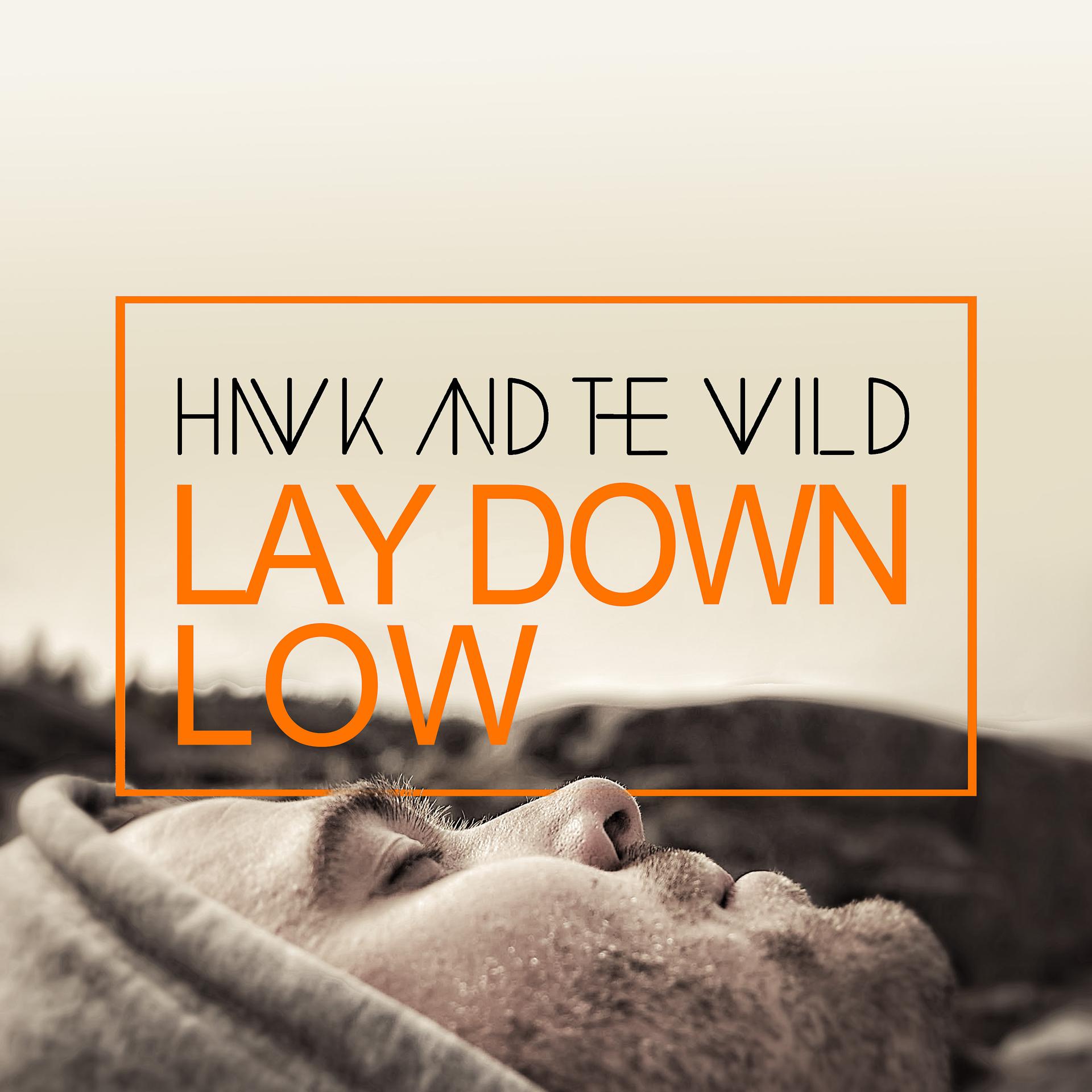 Постер альбома Lay Down Low