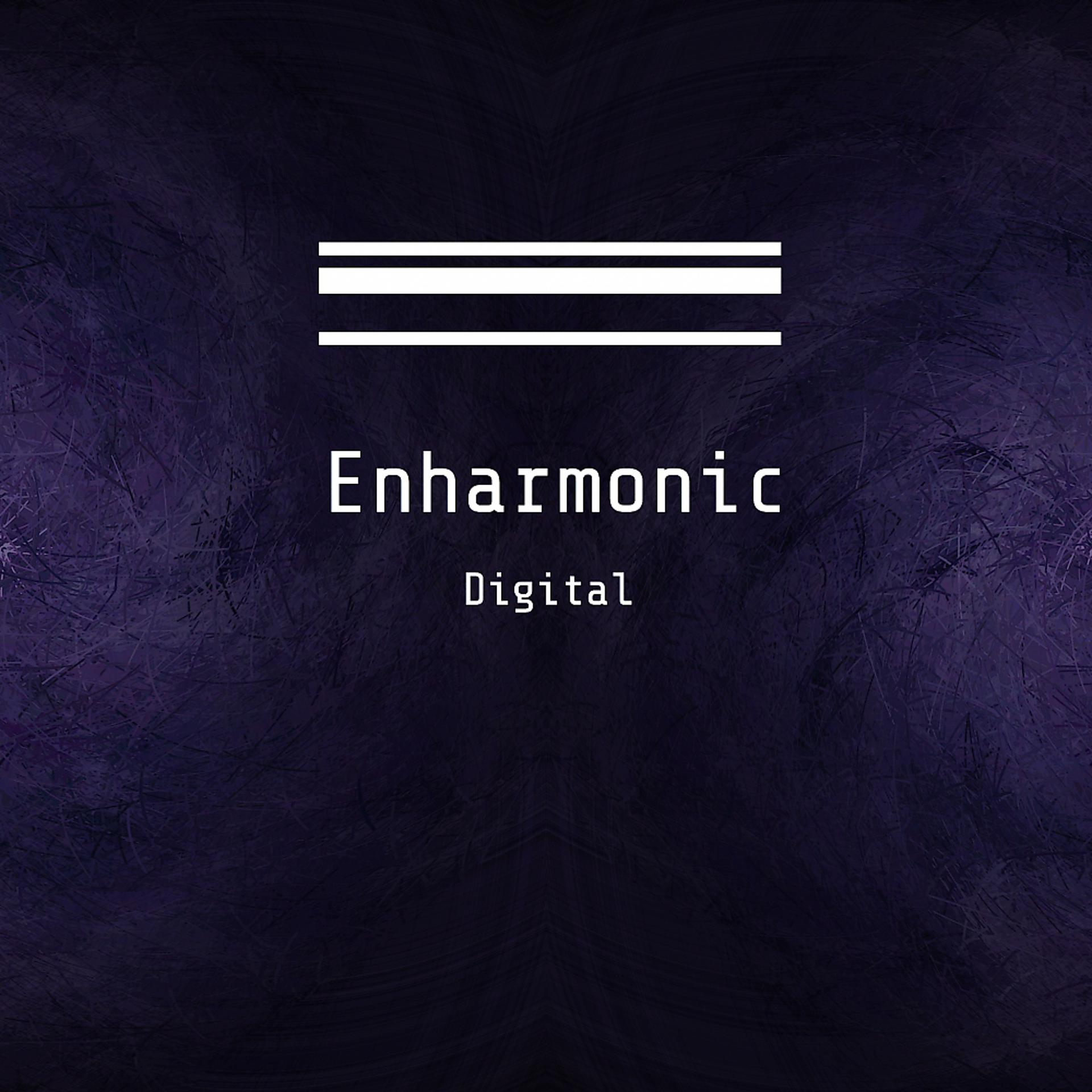 Постер альбома Enharmonic Digital Selection Miami 2016