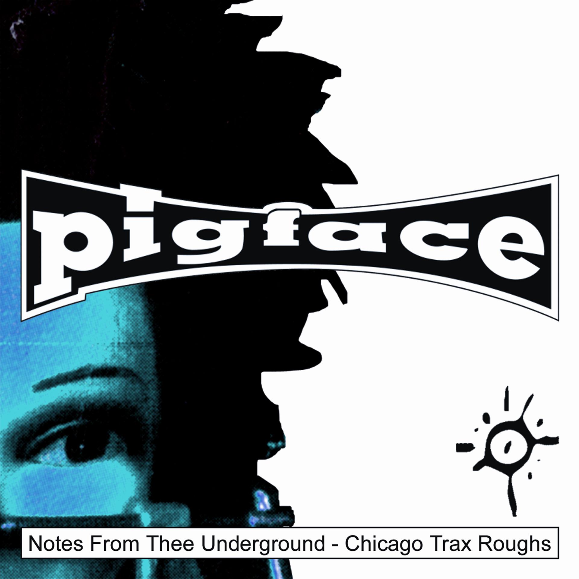 Постер альбома Notes From Thee Underground - Chicago Trax Roughs