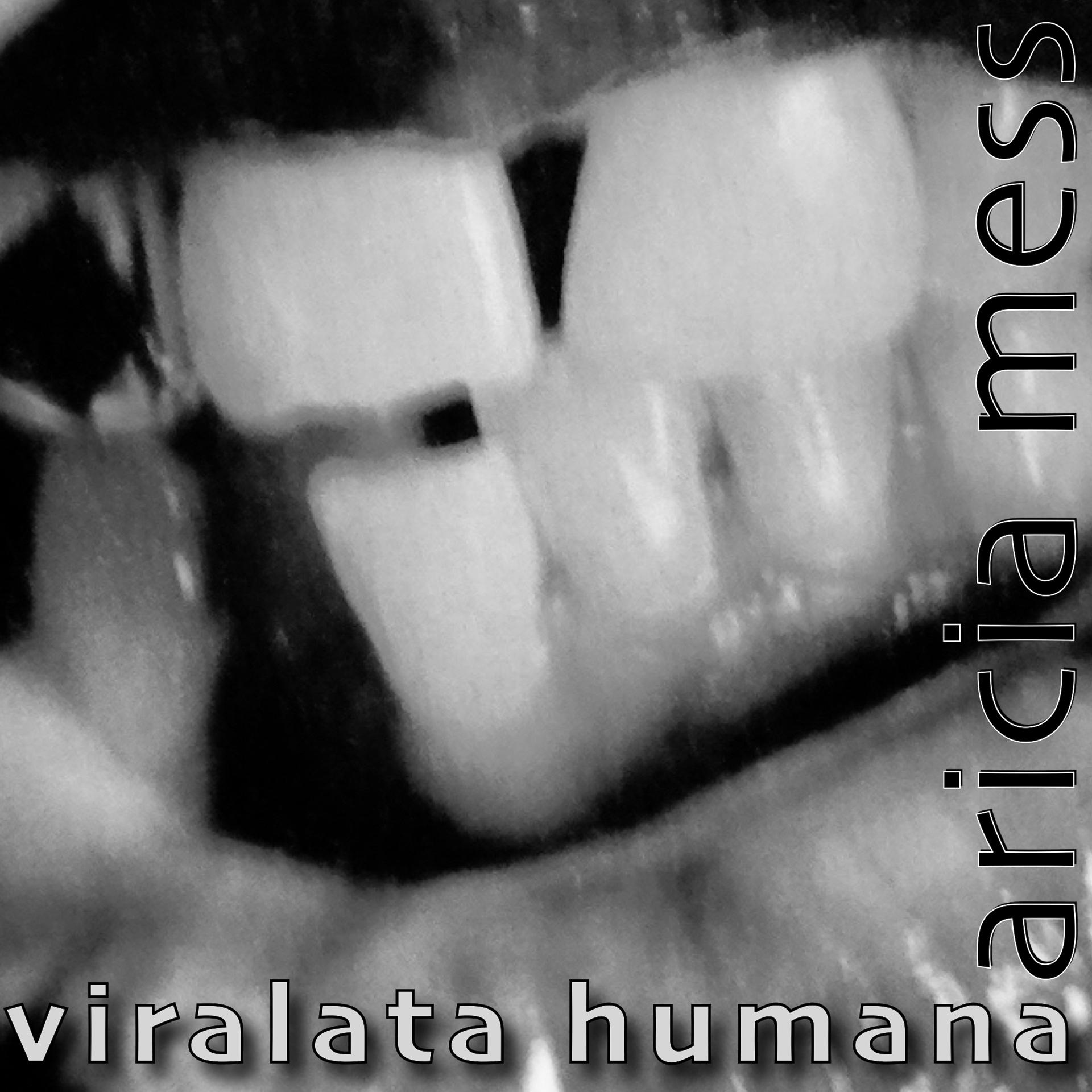 Постер альбома Viralata Humana (Marcia Thompson Edition)