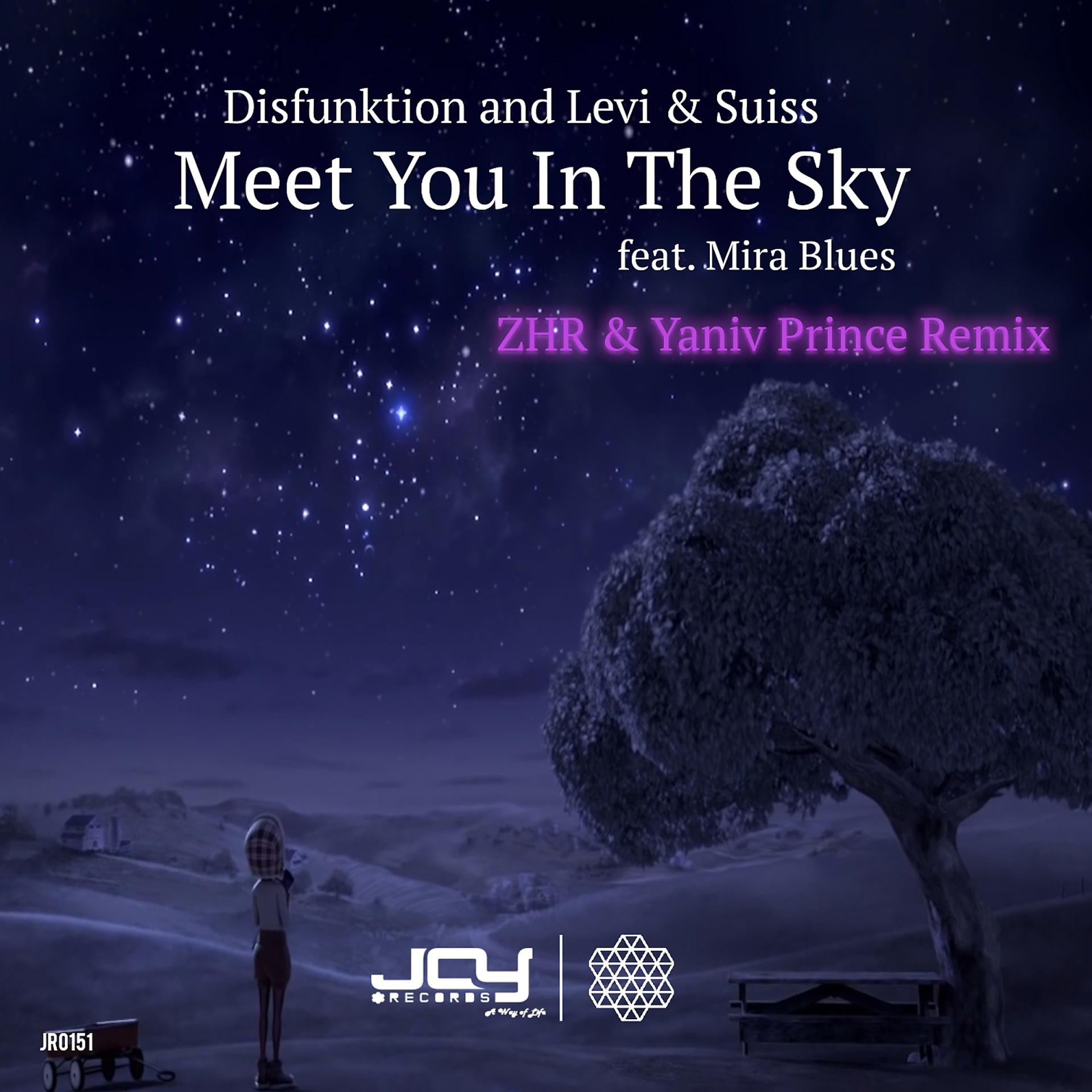 Постер альбома Meet You in the Sky (ZHR & Yaniv Prince Remix)