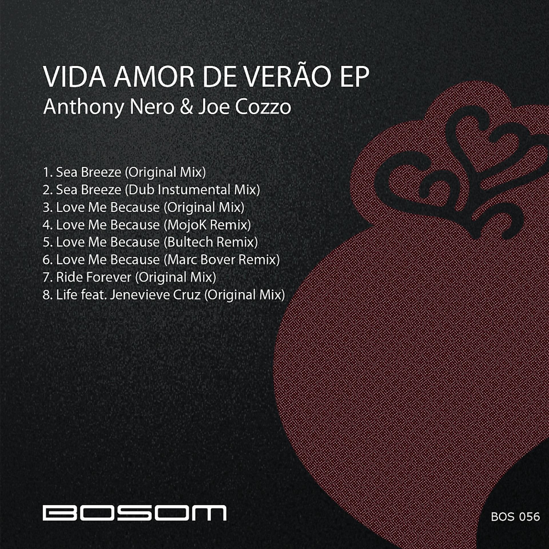 Постер альбома Vida Amor De Verão