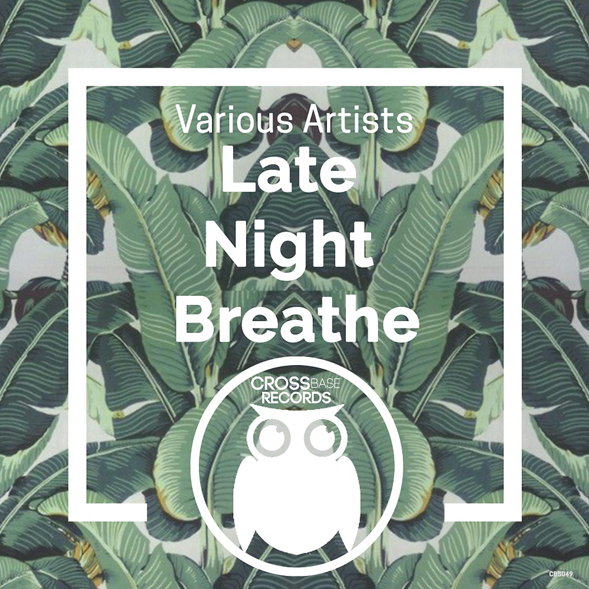 Постер альбома Late Night Breathe