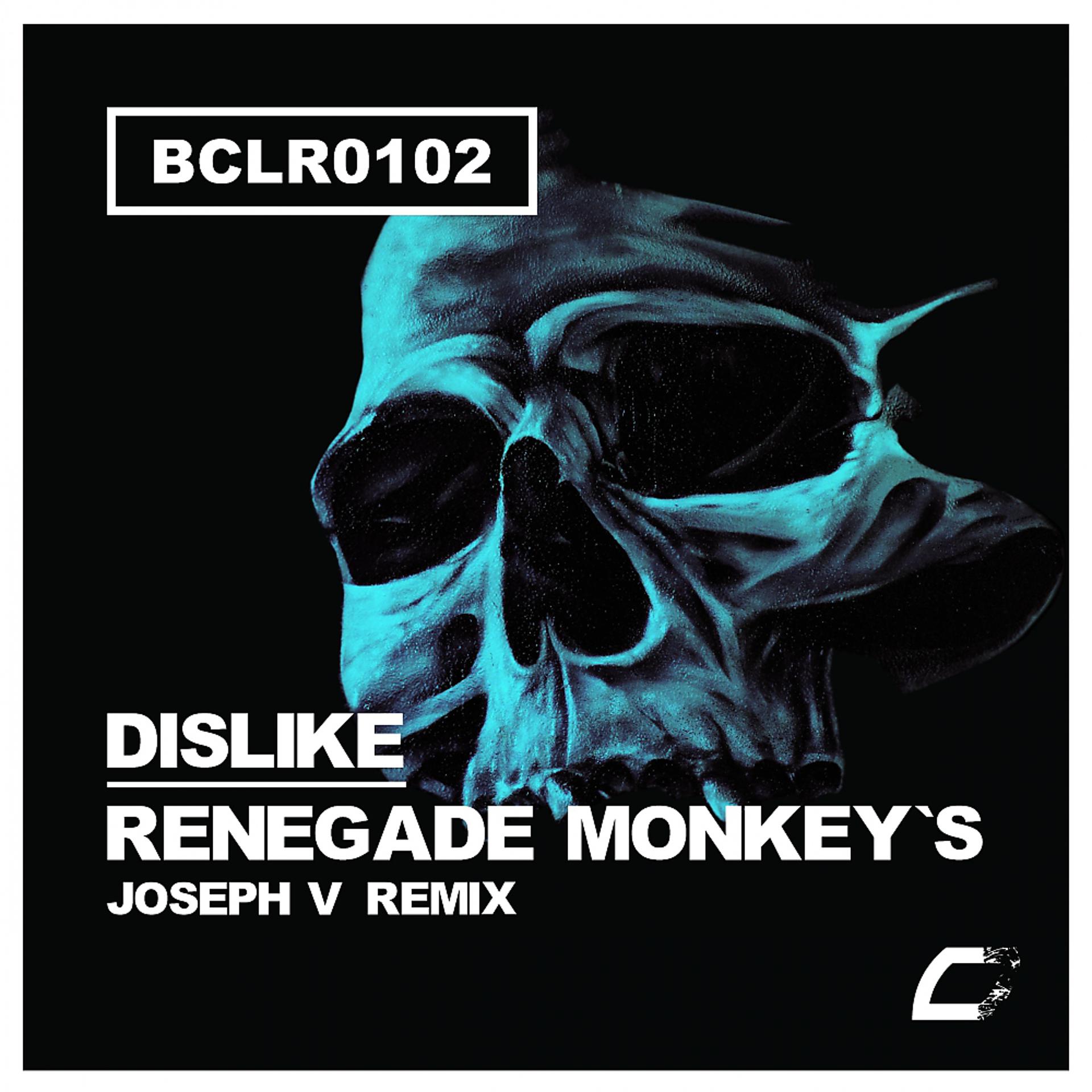 Постер альбома Renegade Monkey's (Joseph V Remix)