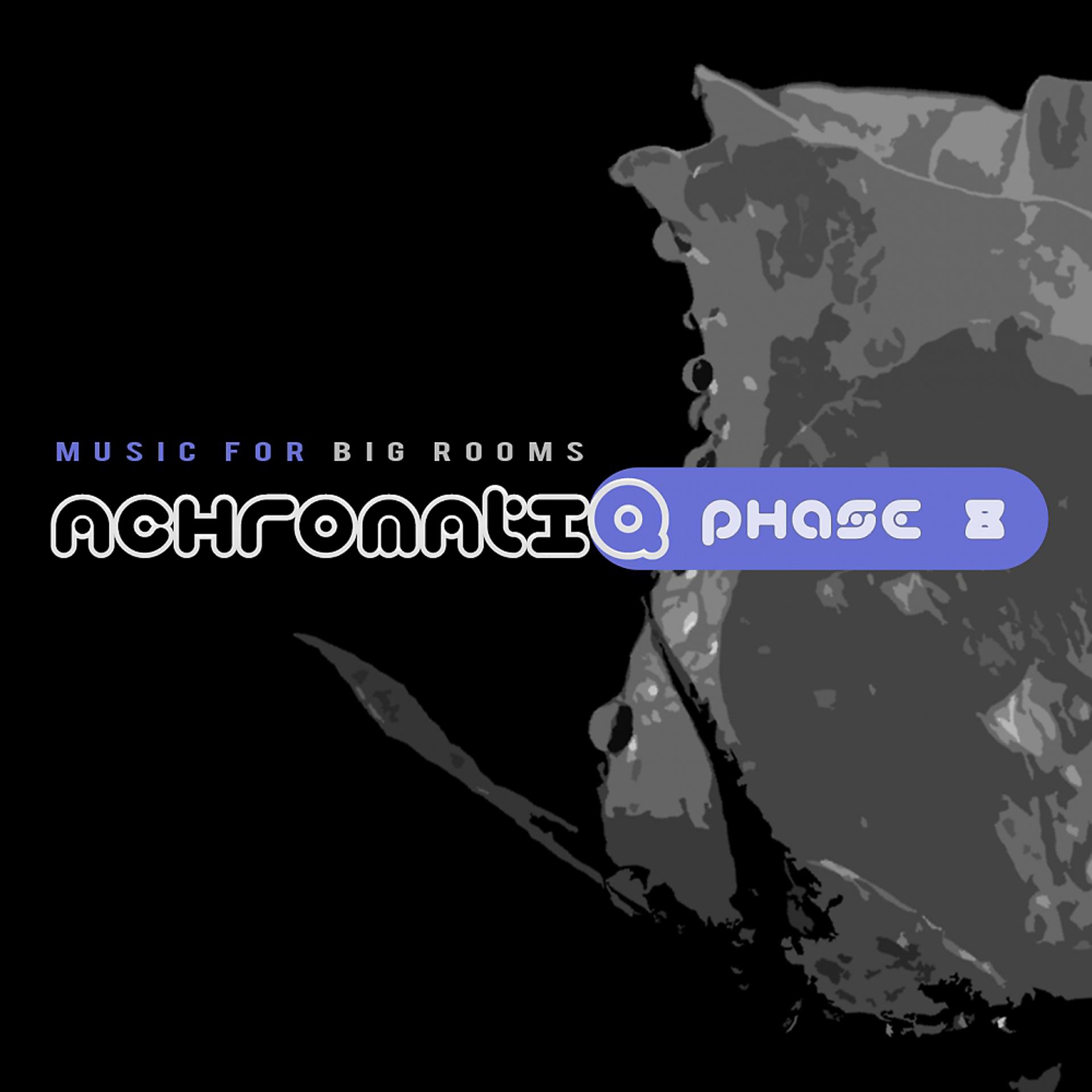 Постер альбома Music For Big Rooms (Phase 8)