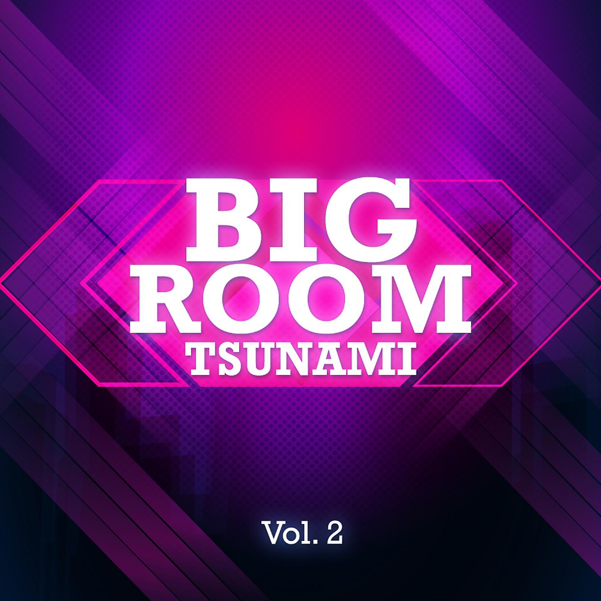Постер альбома Bigroom Tsunami, Vol. 2