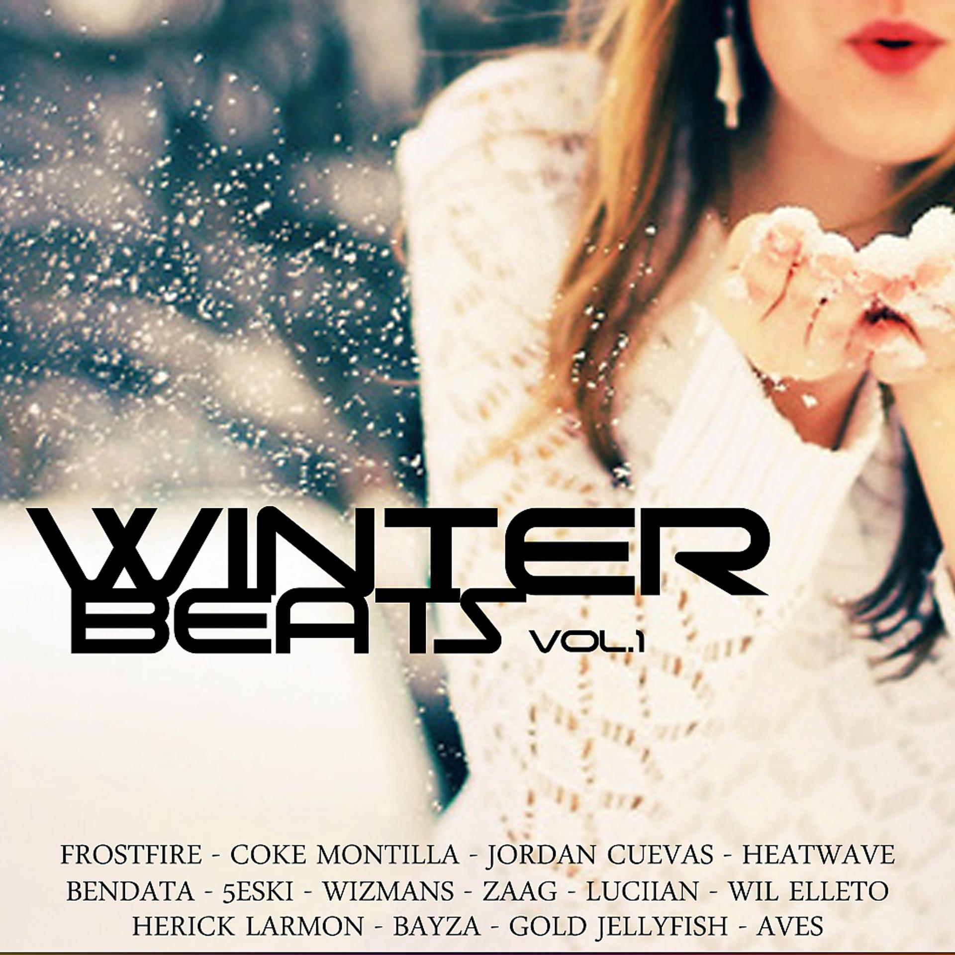 Постер альбома Winter Beats