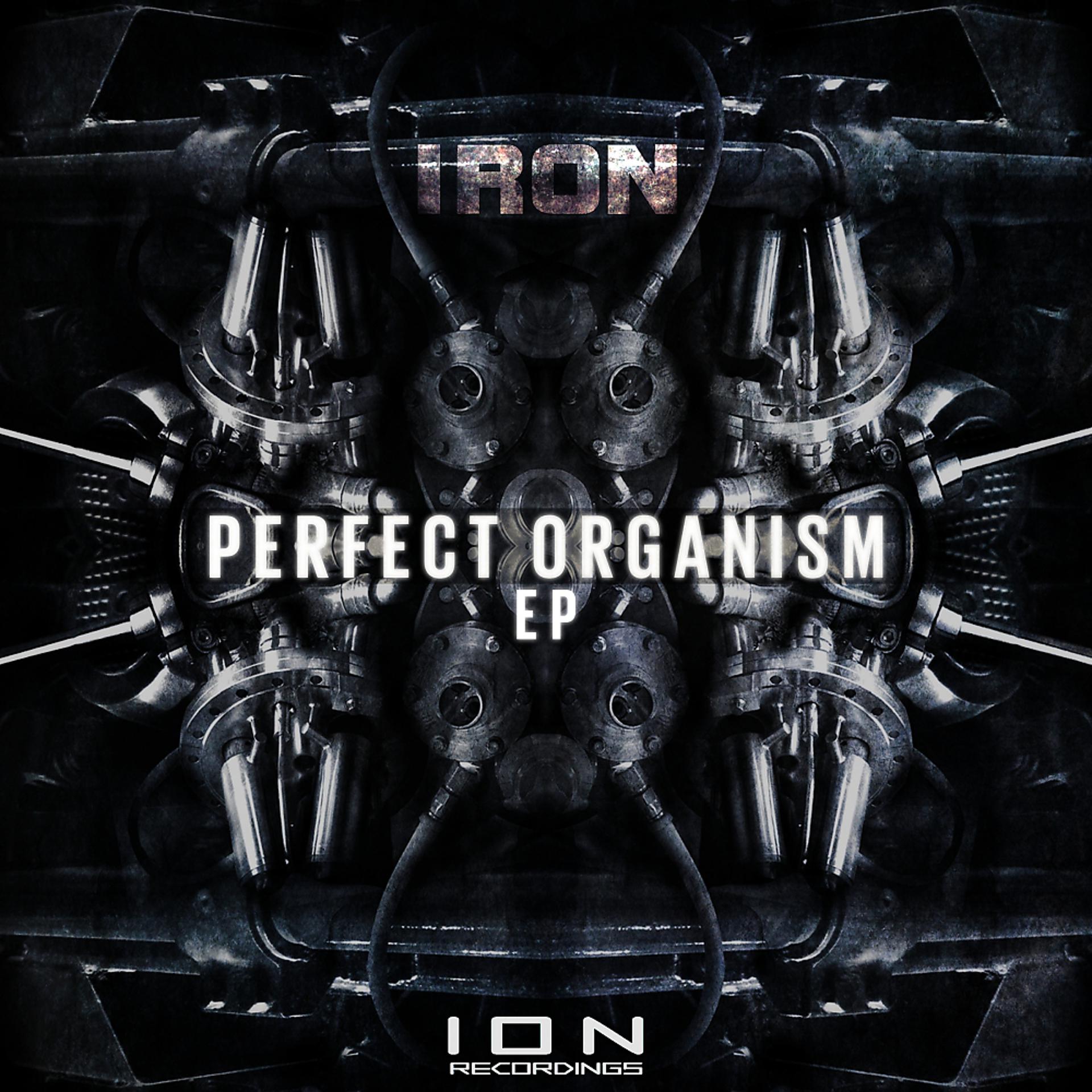 Постер альбома Perfect Organism EP