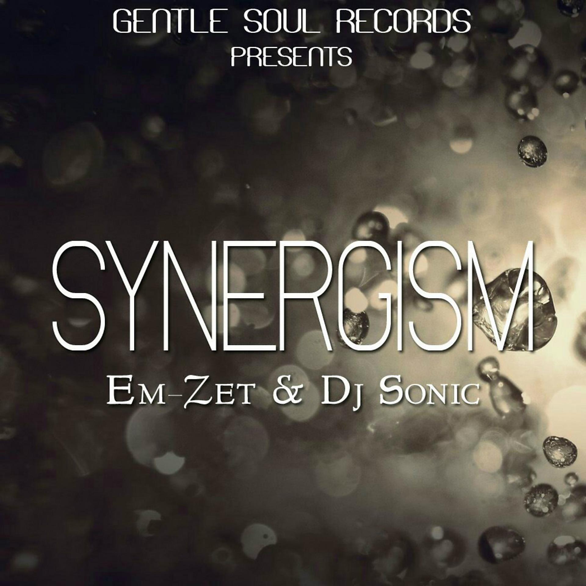 Постер альбома Synergism