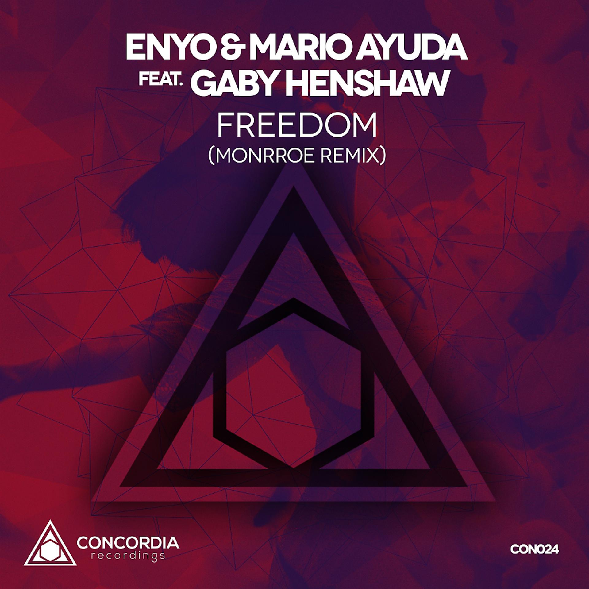 Постер альбома Freedom (Monrroe Remix)