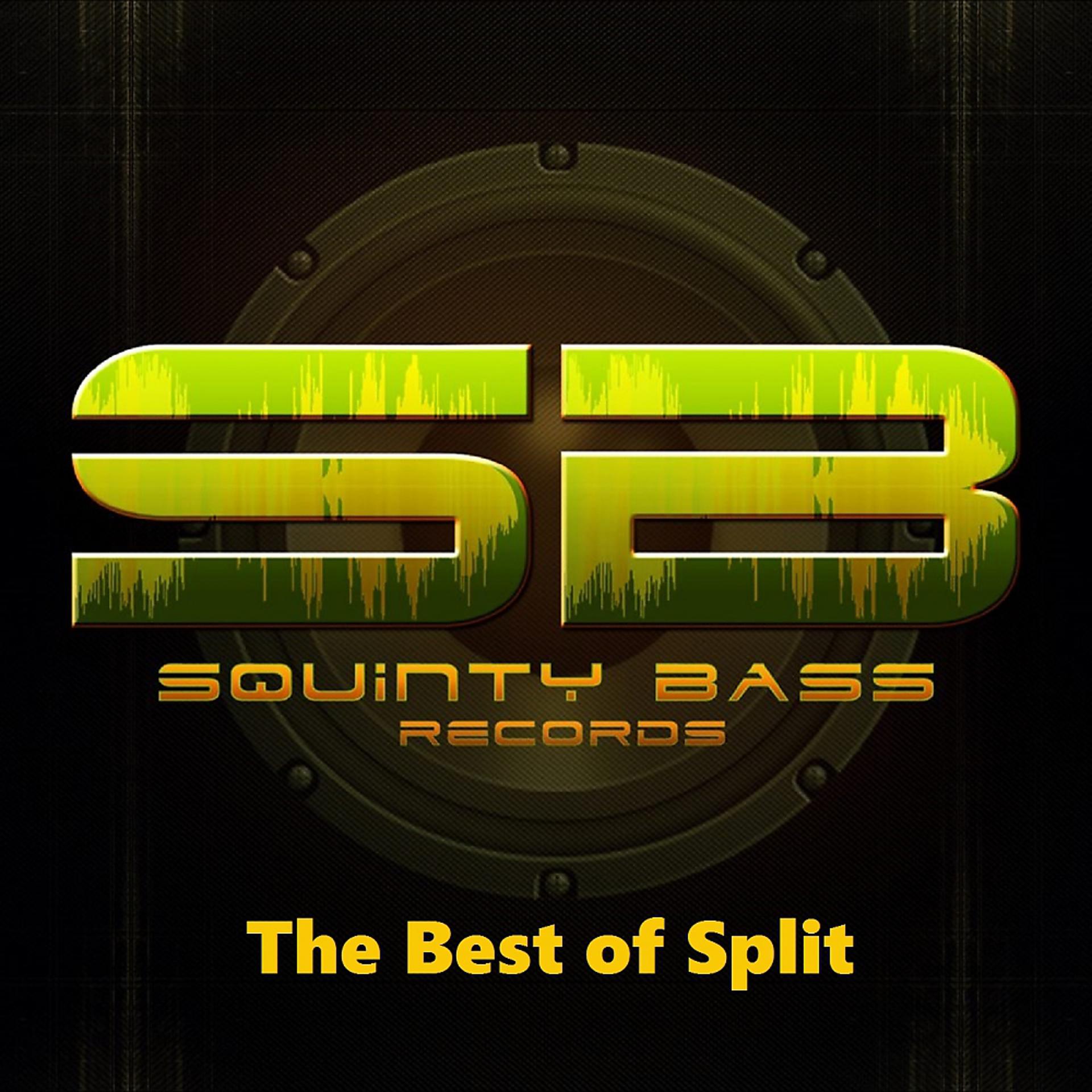 Постер альбома The Best of Split