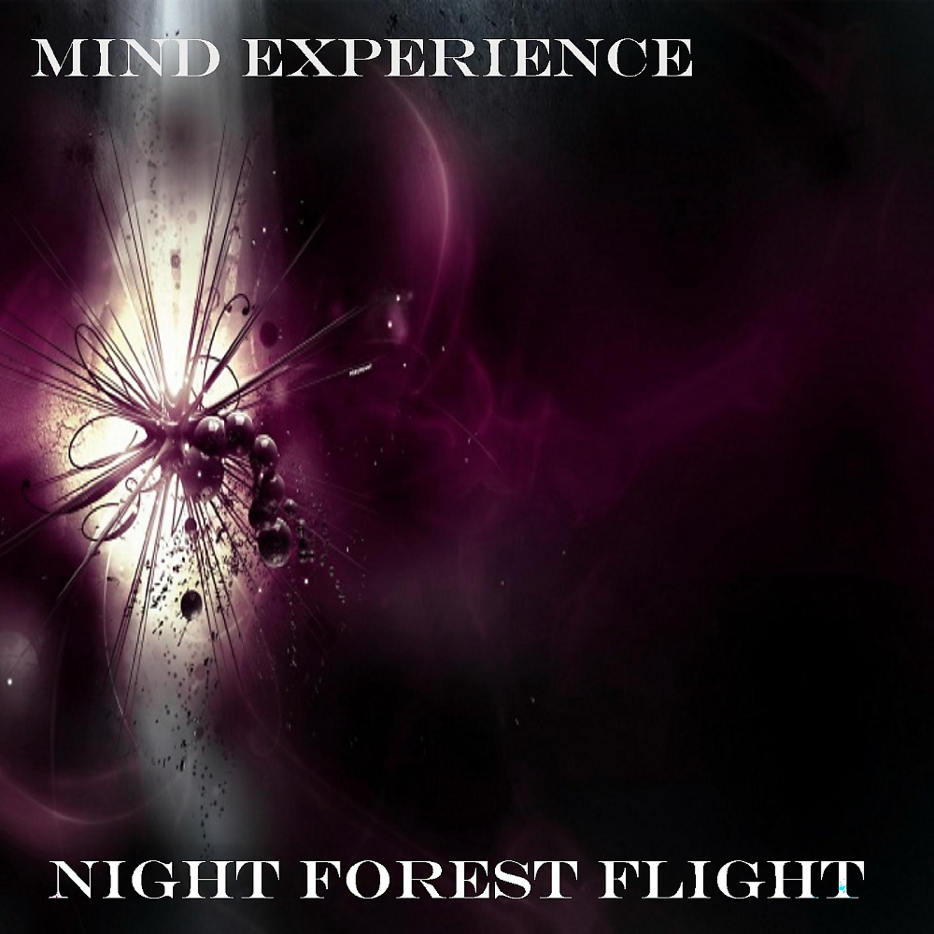 Постер альбома Night Forest Flight