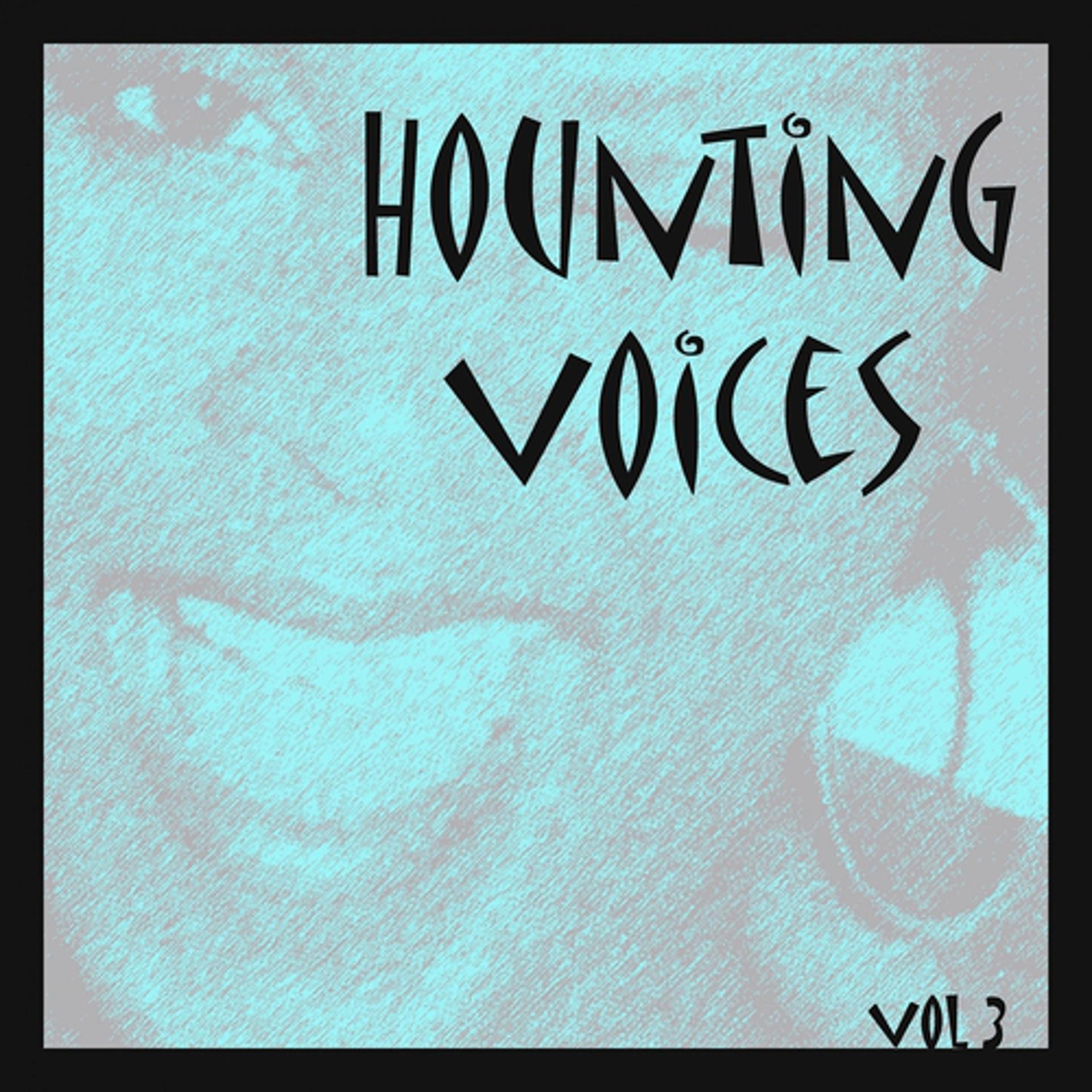 Постер альбома Hounting Voices, Vol.3 (My Heart Belongs to Daddy)