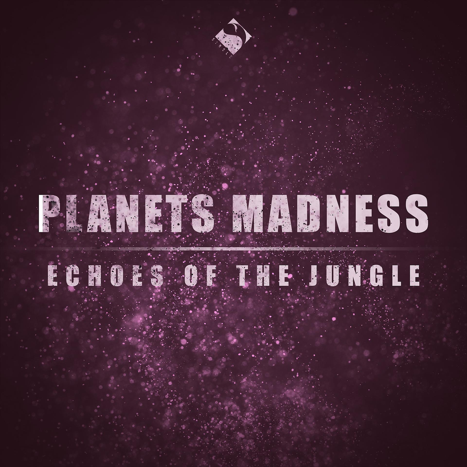 Постер альбома Echoes of the Jungle