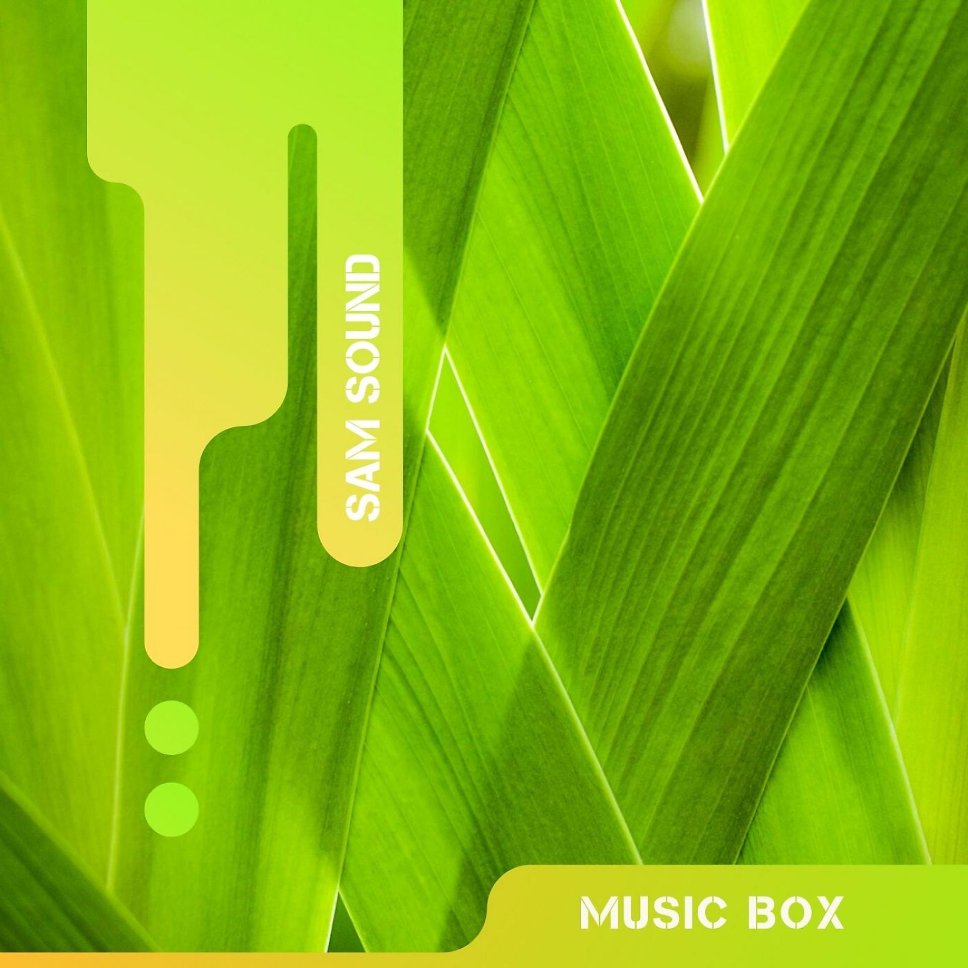 Постер альбома Music Box 4