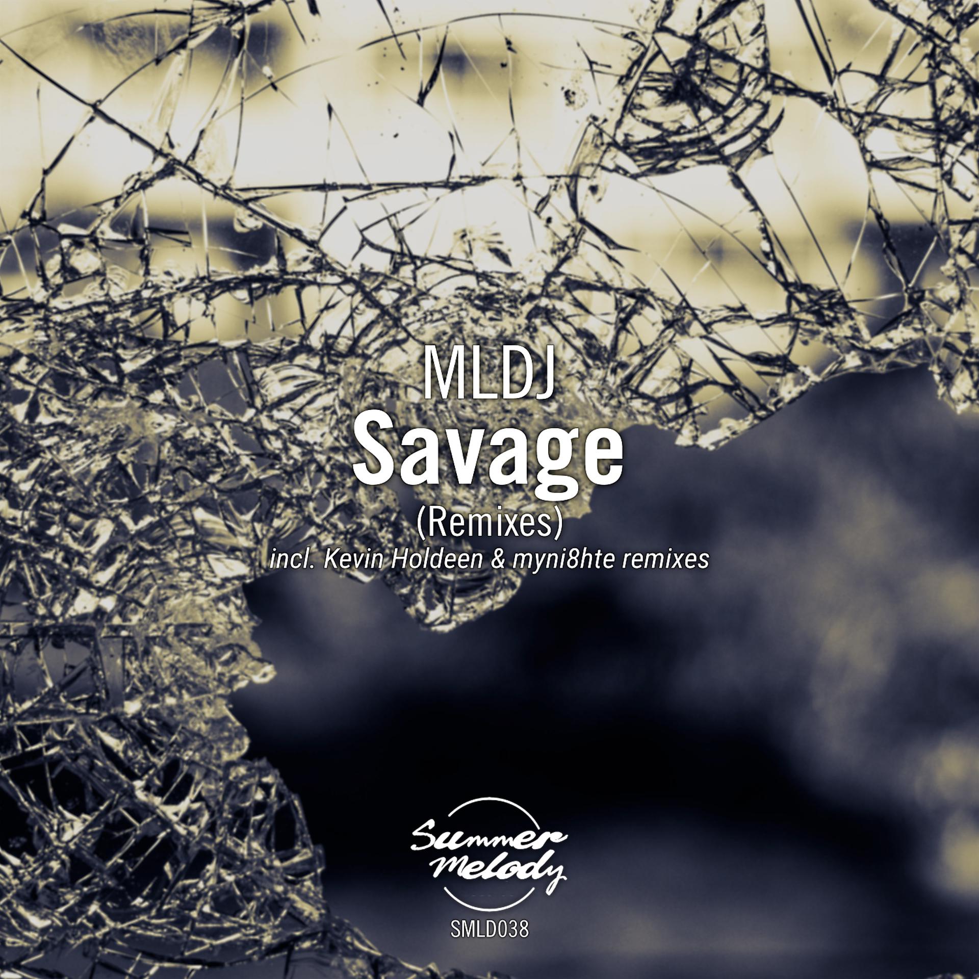 Постер альбома Savage (Remixes)
