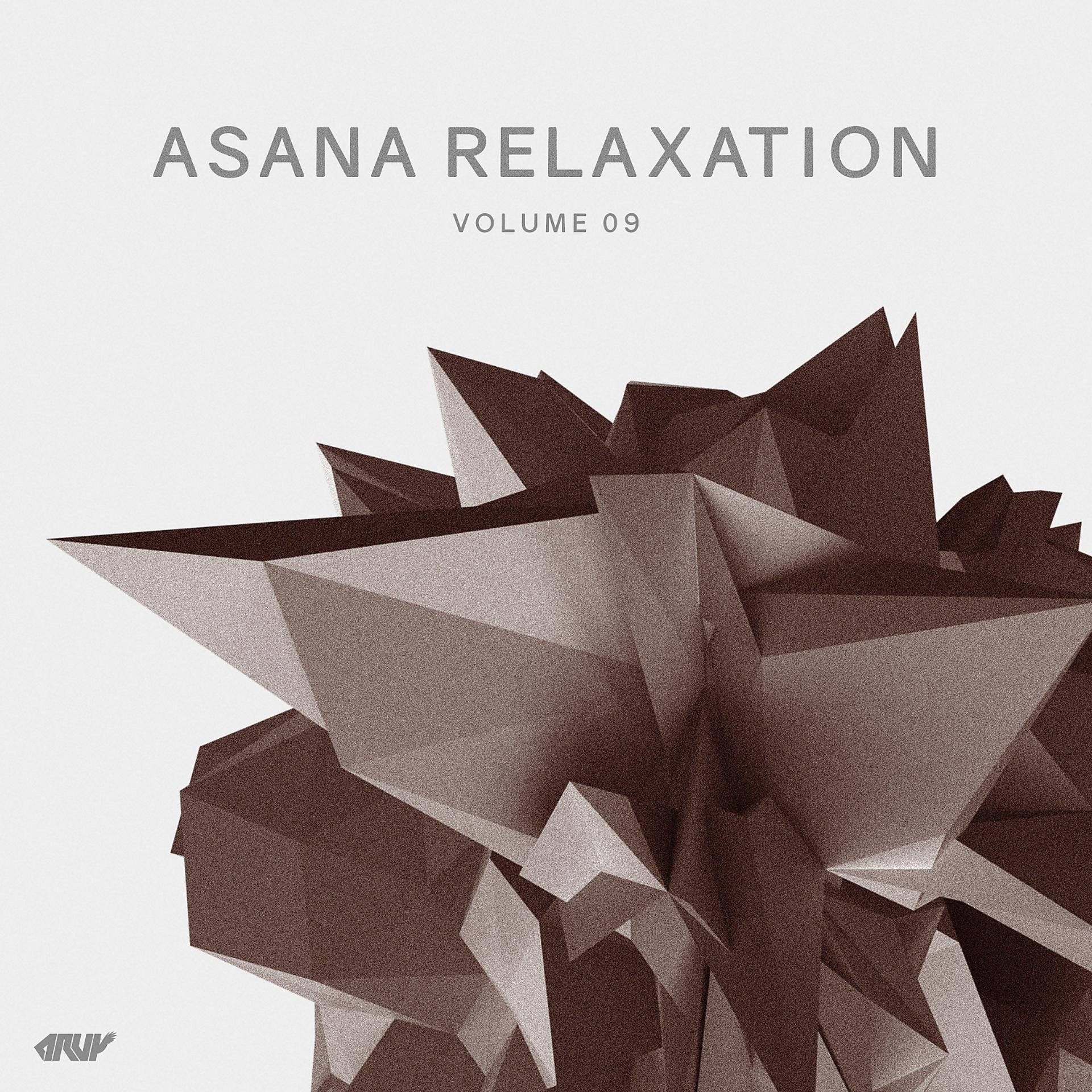 Постер альбома Asana Relaxation, Vol.9